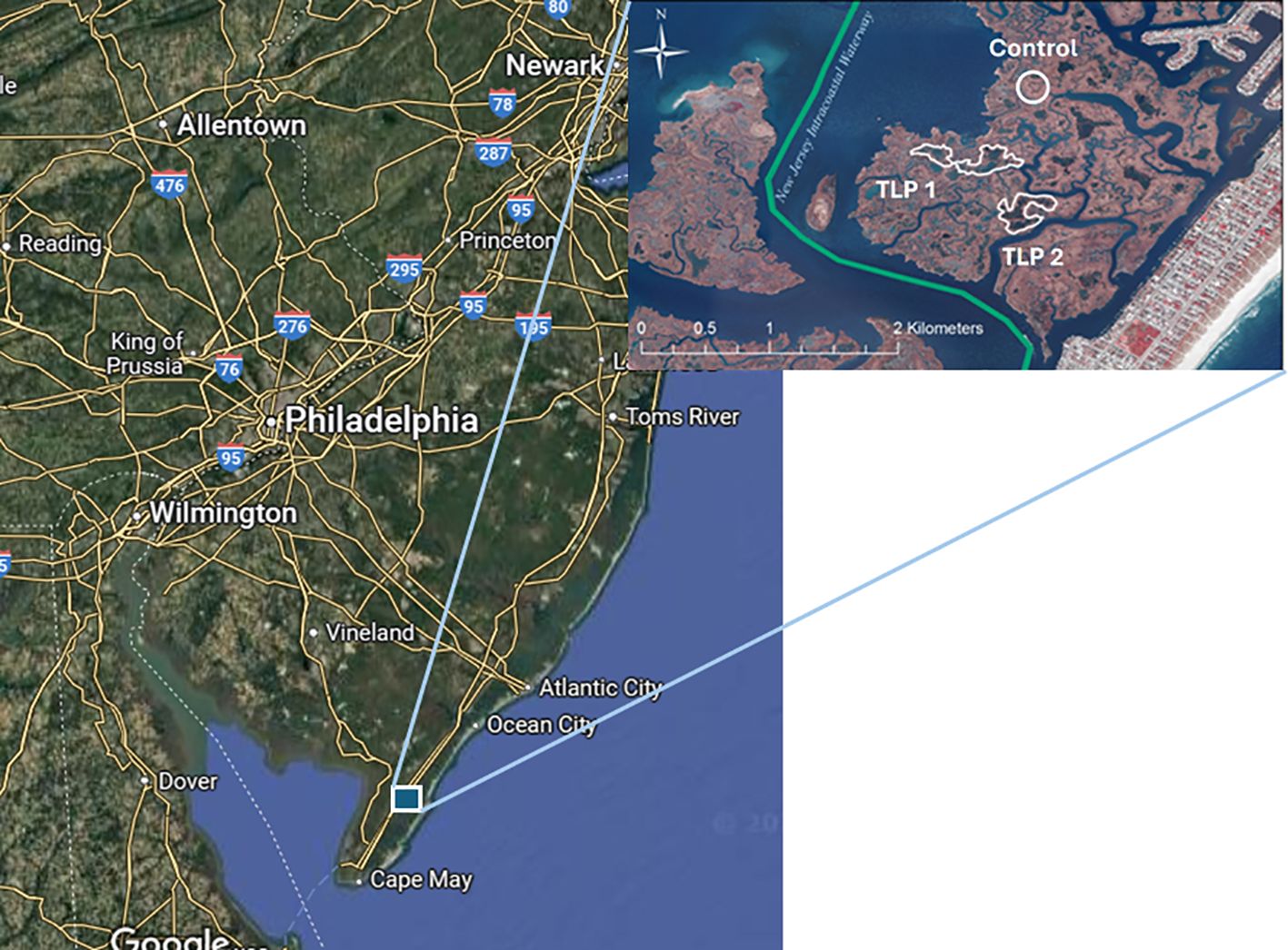 Map showing the northeastern United States, highlighting Philadelphia, Wilmington, and Cape May. Inset map detail displays the New Jersey Intracoastal Waterway with labeled areas: TLP 1, TLP 2, and a control.