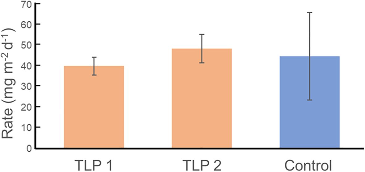 Bar graph showing rates in milligrams per square meter per day for TLP 1, TLP 2, and Control. TLP 1 is about 40, TLP 2 slightly above 40, and Control around 50, with error bars displayed.