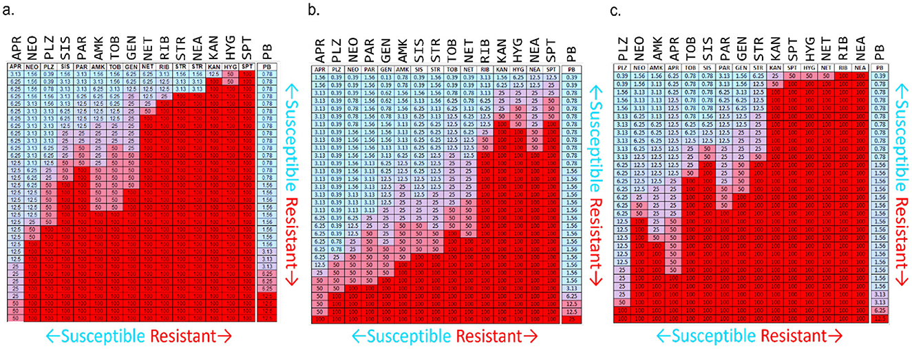 Heatmaps showing antibiotic susceptibility patterns for three bacteria strains: (a) Acinetobacter baumannii, (b) Klebsiella pneumoniae, and (c) Pseudomonas aeruginosa. Blue areas indicate susceptibility, while red areas indicate resistance across various antibiotics.