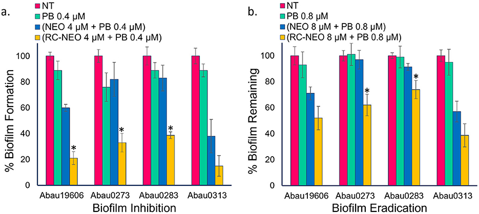 Bar graphs illustrating biofilm inhibition and eradication in four bacterial strains: Abau19606, Abau0273, Abau0283, and Abau0313. Chart (a) shows biofilm formation percentages under various treatments: NT, PB 0.4 μM, NEO 4 μM + PB 0.4 μM, and RC-NEO 4 μM + PB 0.4 μM. Chart (b) displays biofilm remaining percentages under NT, PB 0.8 μM, NEO 8 μM + PB 0.8 μM, and RC-NEO 8 μM + PB 0.8 μM treatments. Significant differences are marked with asterisks. Error bars represent standard deviation.