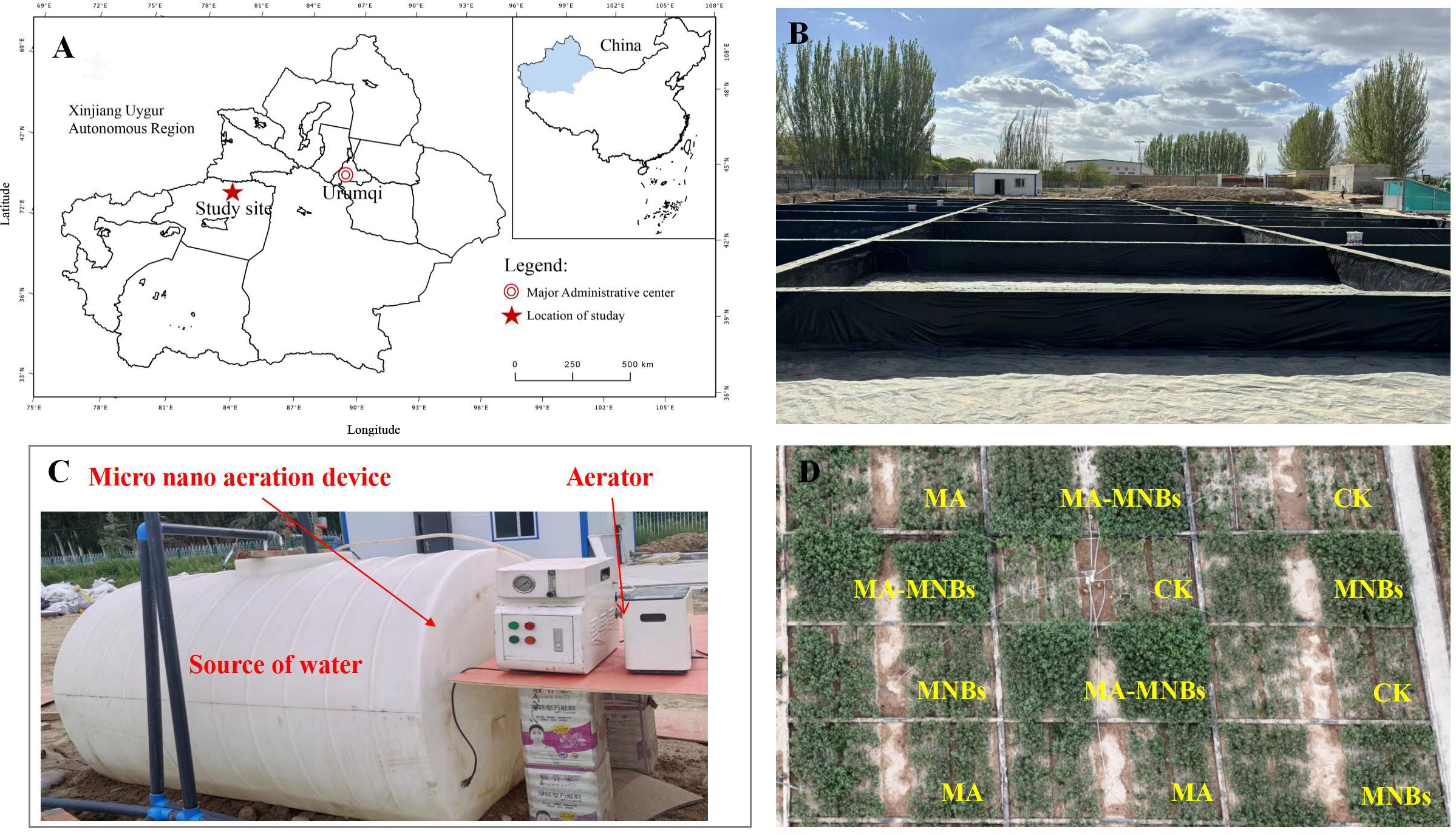 A composite image with four panels: A) A map showing the Xinjiang Uygur Autonomous Region in China, highlighting the study site near Urumqi. B) Image of an outdoor field experiment setup with black-lined enclosures under a cloudy sky. C) Close-up of a micro nano aeration device with labeled components, including a water source and aerator. D) Aerial view of multiple plots labeled with MA, MA-MNBs, CK, and MNBs, featuring varying vegetation density.