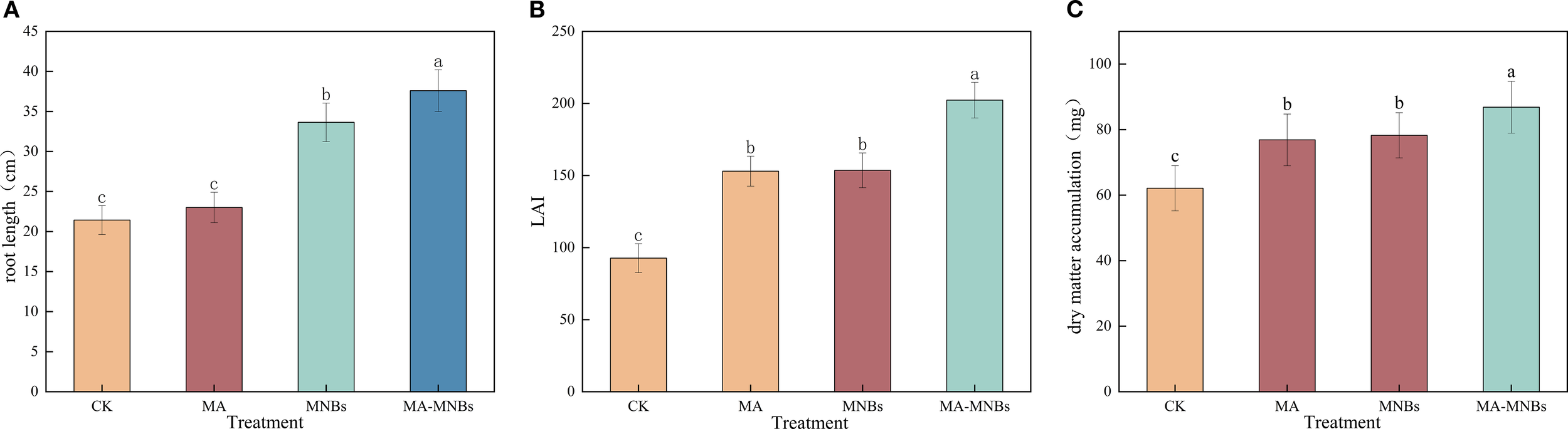 Bar charts labeled A, B, and C display data on root length, leaf area index (LAI), and dry matter accumulation, respectively. Chart A shows that the MA-MNBs treatment has the highest root length, followed by MNBs, MA, and CK. Chart B indicates that MA-MNBs has the highest LAI, followed by MNBs, MA, and CK. Chart C shows that dry matter accumulation is highest in MA-MNBs, followed by MNBs and MA equally, and then CK. Error bars indicate variability, and each column is labeled with letters indicating statistical significance.