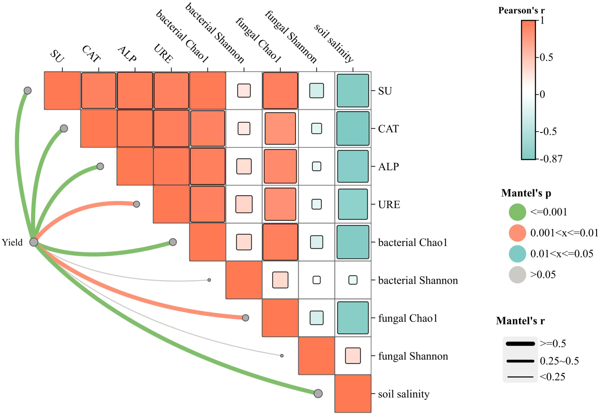 Correlation heatmap and Mantel test results showing relationships between yield and various factors like SU, CAT, ALP, URE, bacterial and fungal diversity indices, and soil salinity. Colors represent Pearson's correlation coefficients from 1 (red) to -0.87 (teal). Line thickness and color indicate Mantel's p-values and r-values, where thicker lines and green color signify stronger and significant correlations.