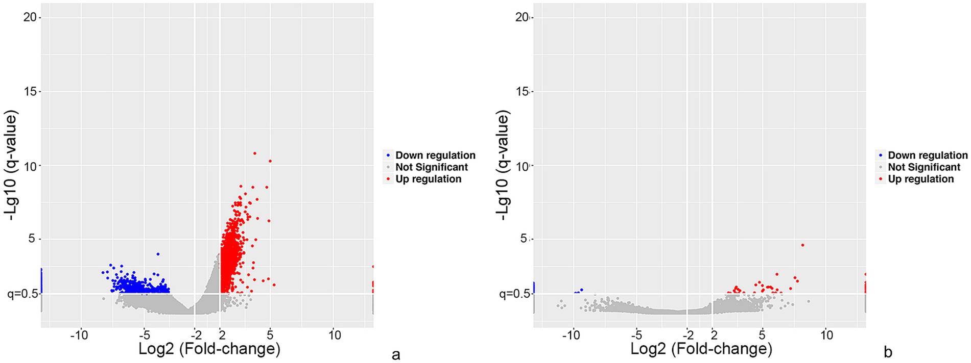 Two volcano plots show gene expression analysis. Chart (a) displays significant downregulated (blue) and upregulated (red) genes, with a spread across Log2 fold change and -Log10 q-value axes. Chart (b) shows similar axes but fewer significant genes. Gray indicates non-significant data points in both charts.