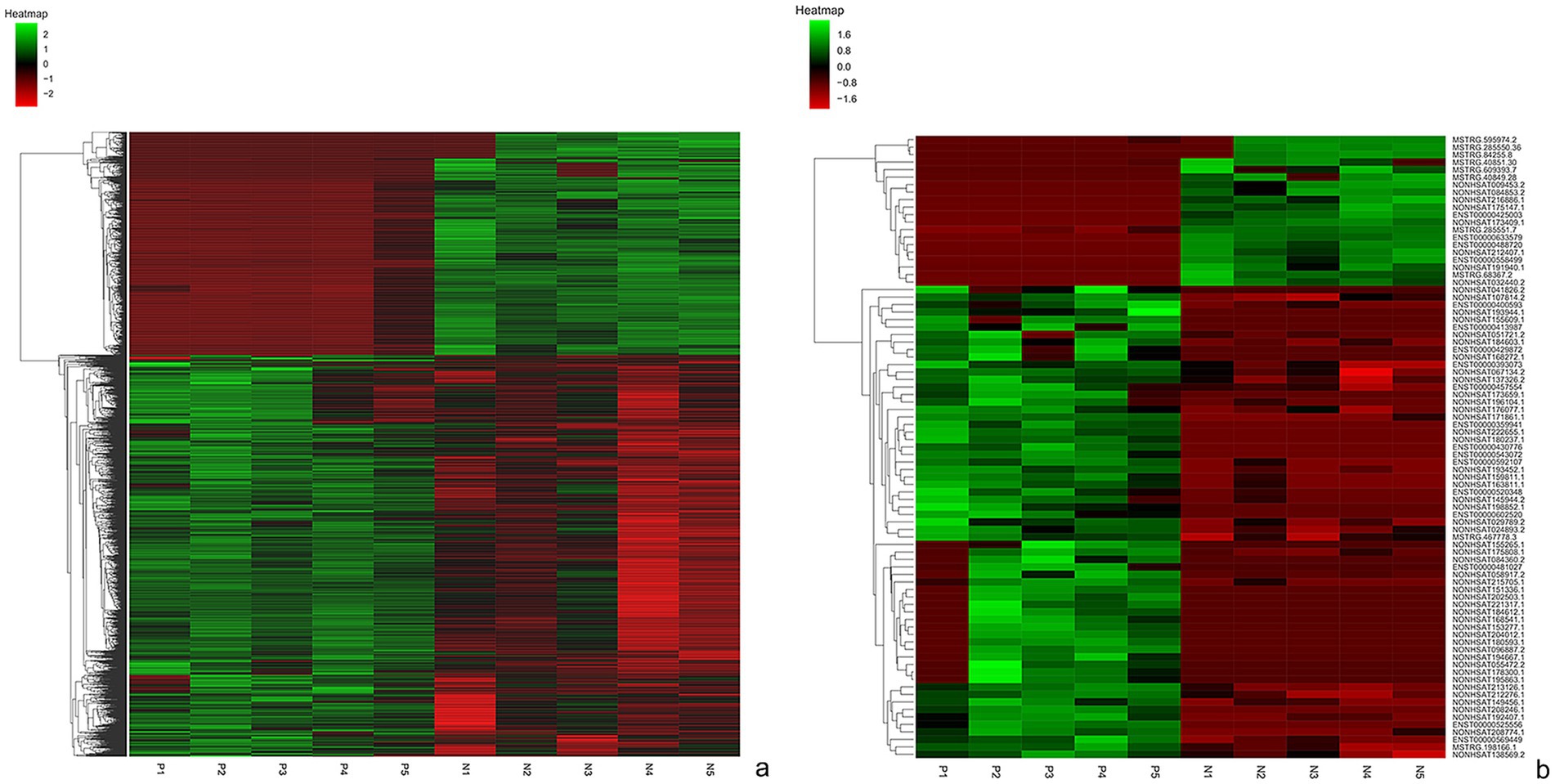 Two side-by-side heatmaps display clustered data with color gradations from green to red. The left plot is labeled