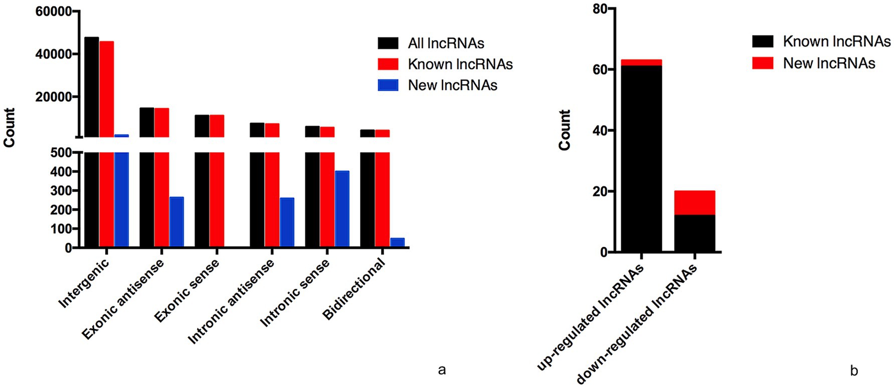 Two bar charts compare different categories of long non-coding RNAs (lncRNAs). Chart (a) shows counts of lncRNAs across categories: intergenic, exonic antisense, exonic sense, intronic antisense, intronic sense, and bidirectional, classified into all, known, and new lncRNAs. Chart (b) displays the number of up-regulated and down-regulated lncRNAs, split into known and new lncRNAs. Black, red, and blue bars represent all, known, and new lncRNAs respectively.