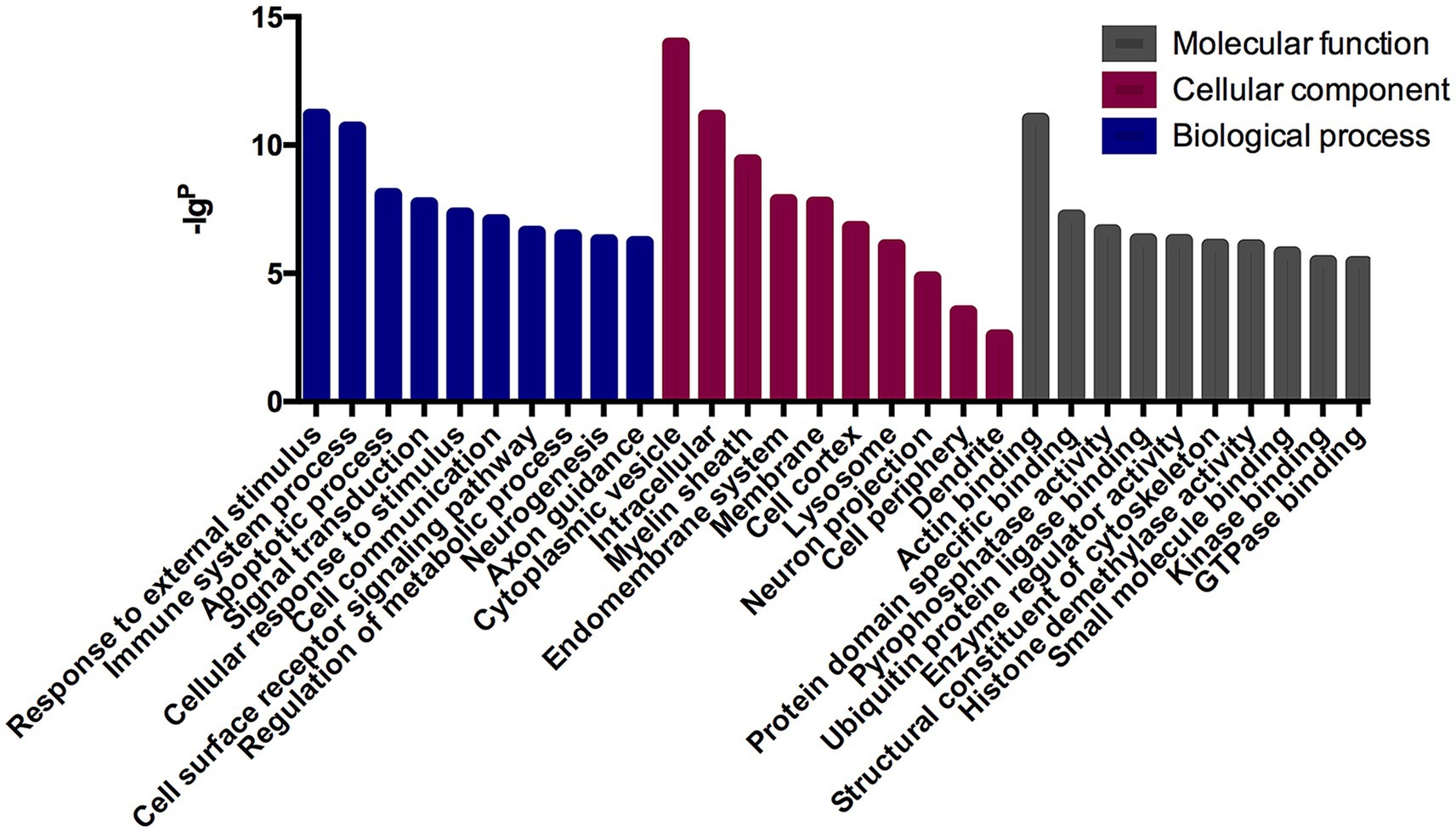 Bar chart showing gene ontology terms categorized by biological process (blue), cellular component (maroon), and molecular function (gray). Bars are labeled with terms like