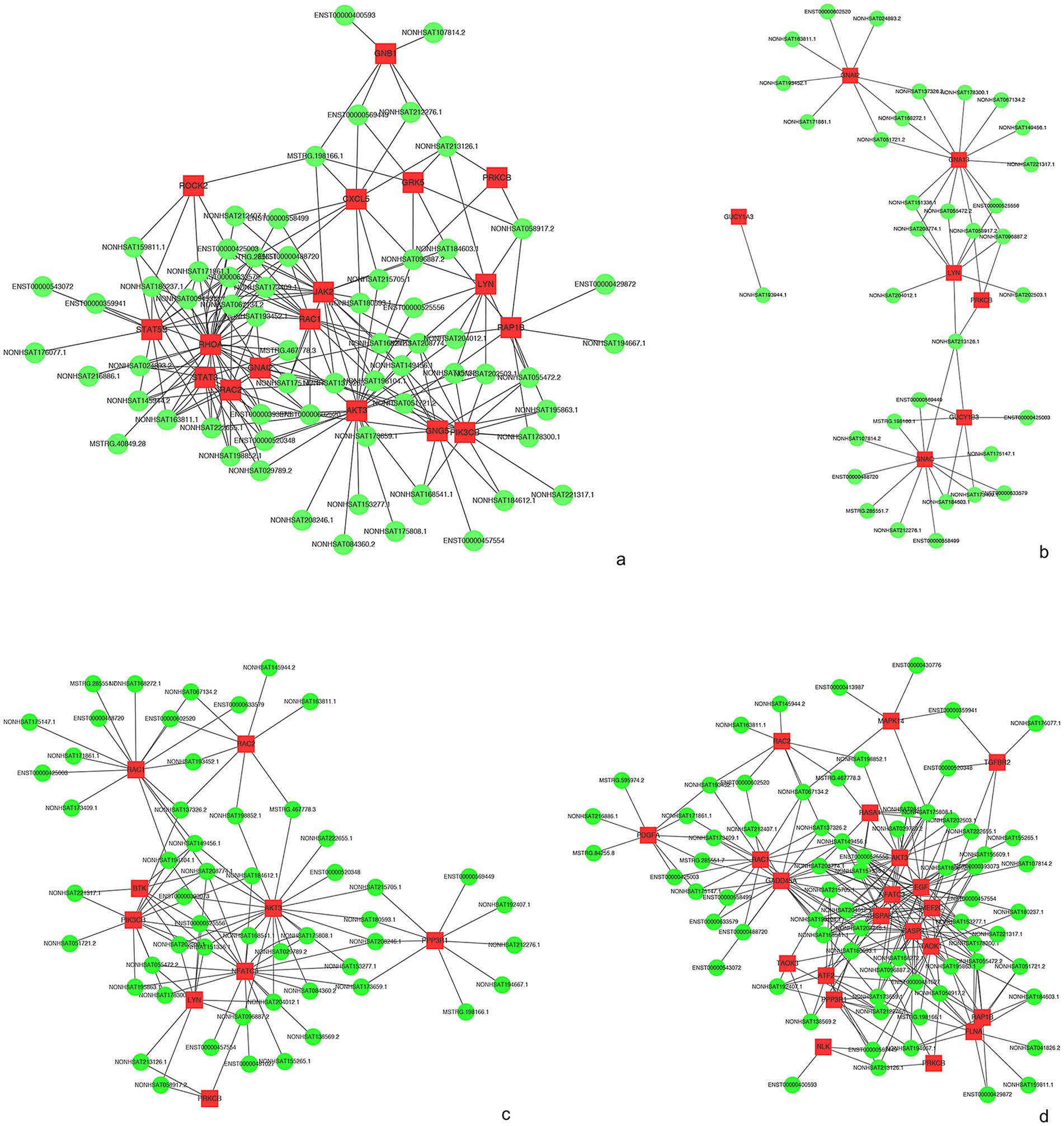 Network graphs illustrating four subfigures labeled a to d. Each graph consists of red square nodes and green round nodes connected by black lines, depicting relationships. Subfigure a appears densely interconnected, while b is sparser. Subfigure c shows moderate connections, and d is densely clustered. Each subfigure represents different relationship patterns among nodes.