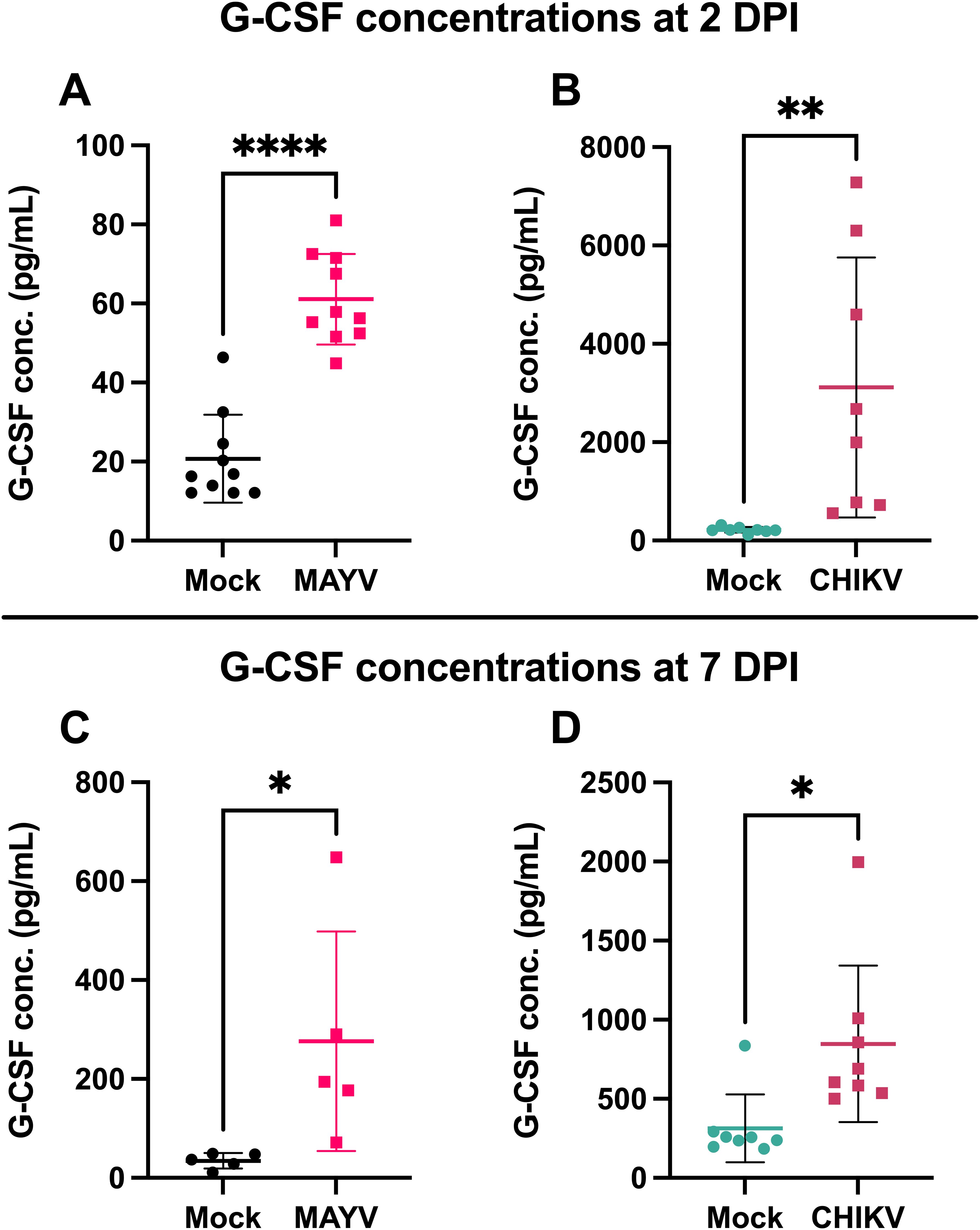 Graphs display G-CSF concentrations at two and seven days post-infection (DPI). Panels A and B show significantly higher G-CSF levels in MAYV and CHIKV compared to Mock at 2 DPI. Panels C and D show increased levels in MAYV and CHIKV compared to Mock at 7 DPI. Statistical significance is marked with asterisks.