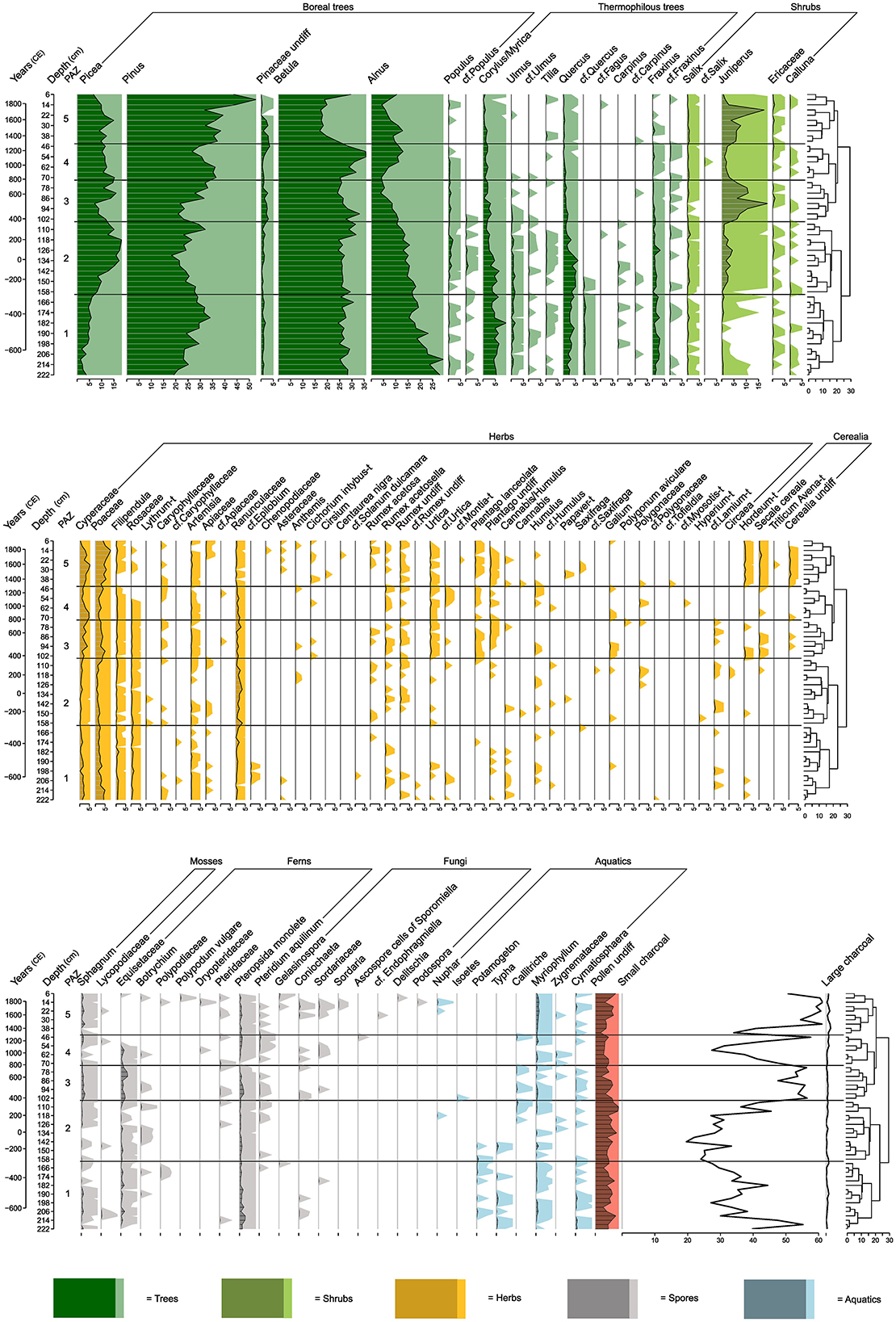 Pollen diagram showing stratigraphic distribution of plant taxa over time, divided into three sections for boreal trees and shrubs, herbs, and mosses, ferns, fungi, and aquatics. The diagram uses green for trees and shrubs, yellow for herbs, gray for spores, and blue for aquatics, with species names labeled above each section. Depth in centimeters and years in calibrated years before present are provided on the left, and associated charcoal concentration is shown on the right.