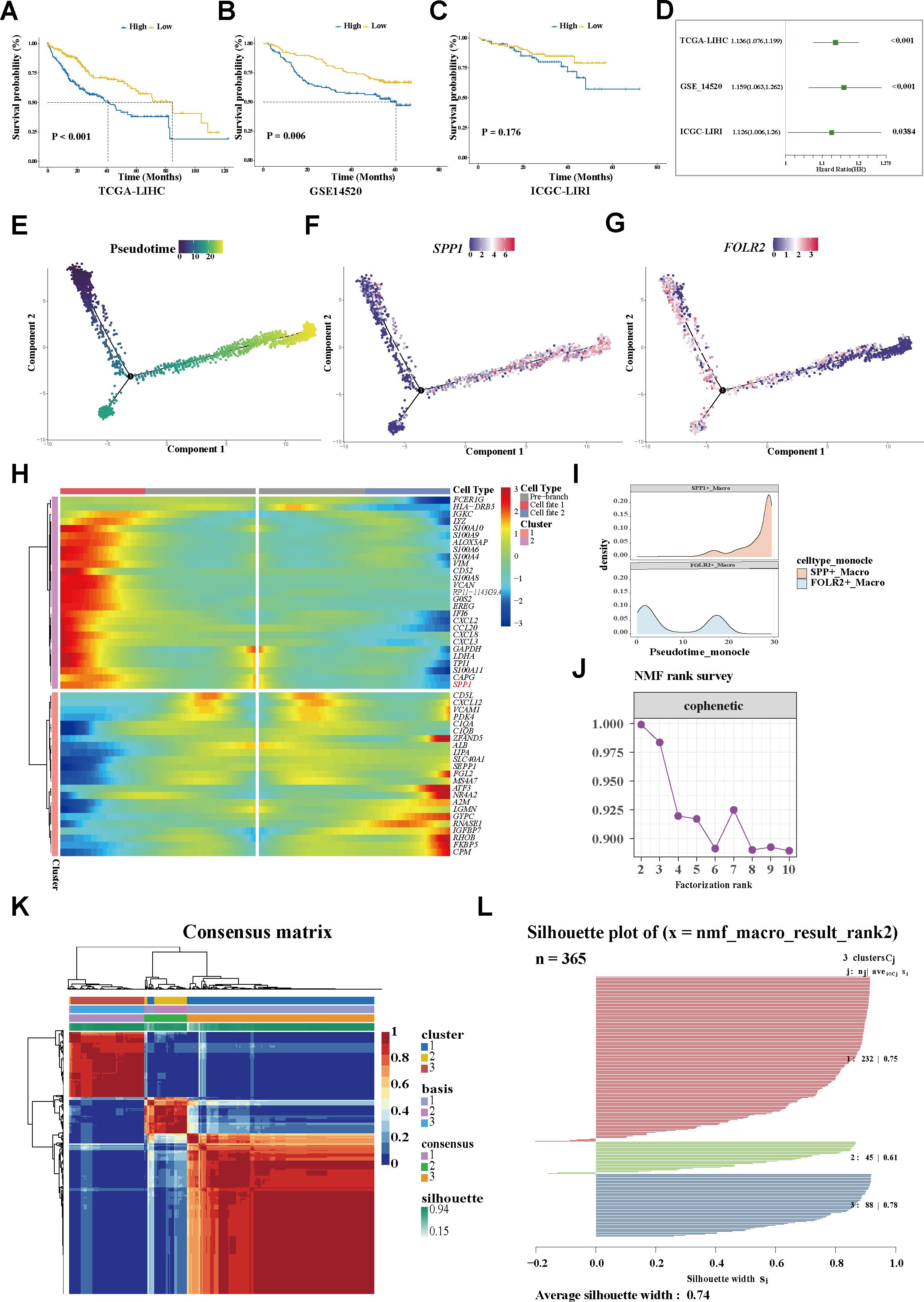 Kaplan-Meier survival curves (A-C) show survival probabilities over time in three cohorts. A forest plot (D) displays hazard ratios. Scatter plots (E-G) visualize pseudotime analysis with gene expression markers SPP1 and FOLR2. A heatmap (H) represents cell-type clustering. Density plot (I) illustrates pseudotime distribution. A graph (J) shows NMF rank survey with cophenetic correlation. A consensus matrix (K) depicts clustering consensus. A silhouette plot (L) evaluates clustering quality with three clusters and silhouette widths.