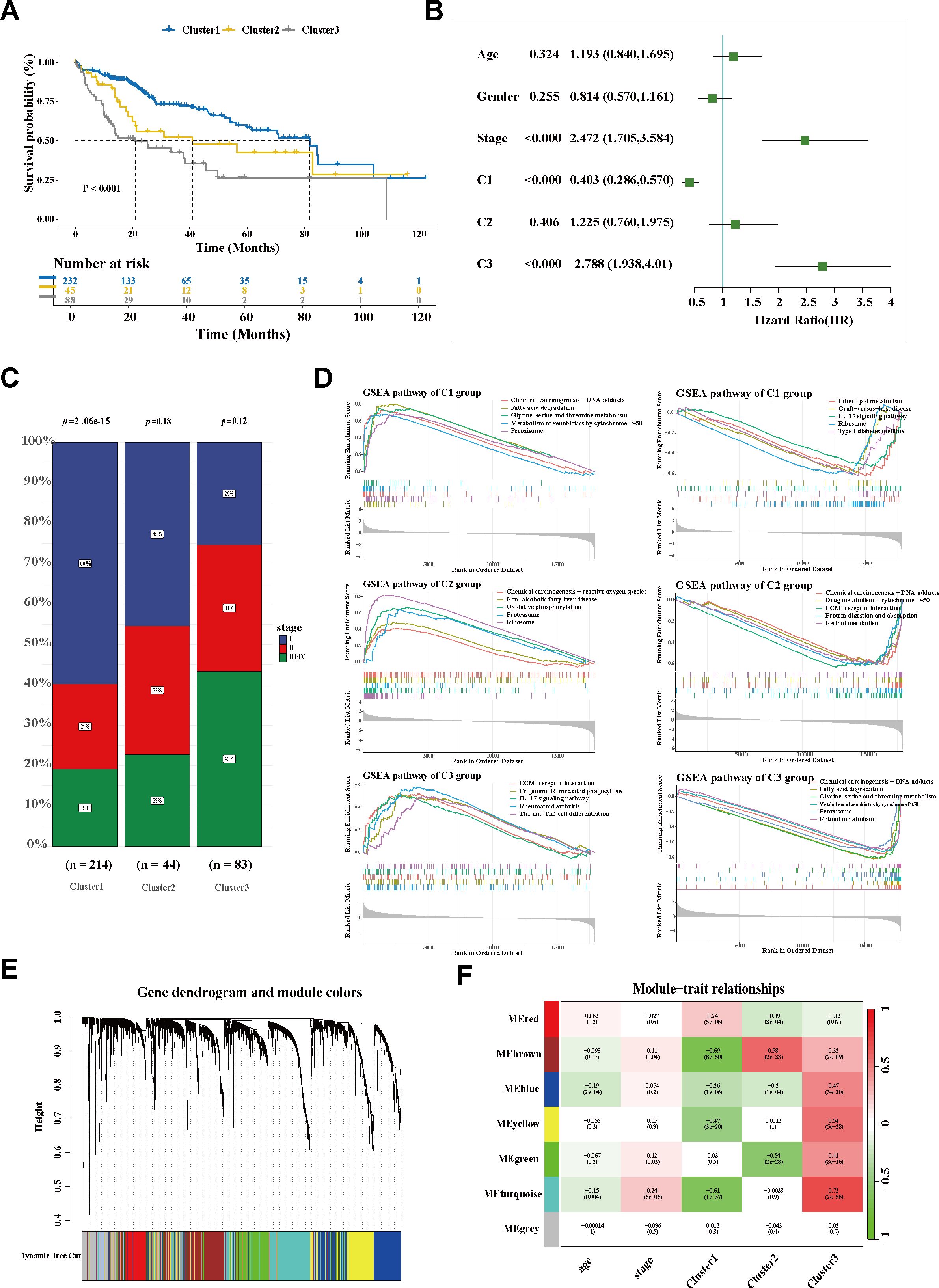 Survival curves and risk table (A) for three clusters over 120 months. Hazard ratios for variables such as age and stage (B). Stacked bar graphs (C) for stages among clusters. GSEA pathway analysis (D) for C1, C2, and C3 groups, highlighting significant pathways. Gene dendrogram (E) with module colors indicating hierarchical clustering. Heatmap (F) demonstrating module-trait relationships, showing correlations across different clusters.