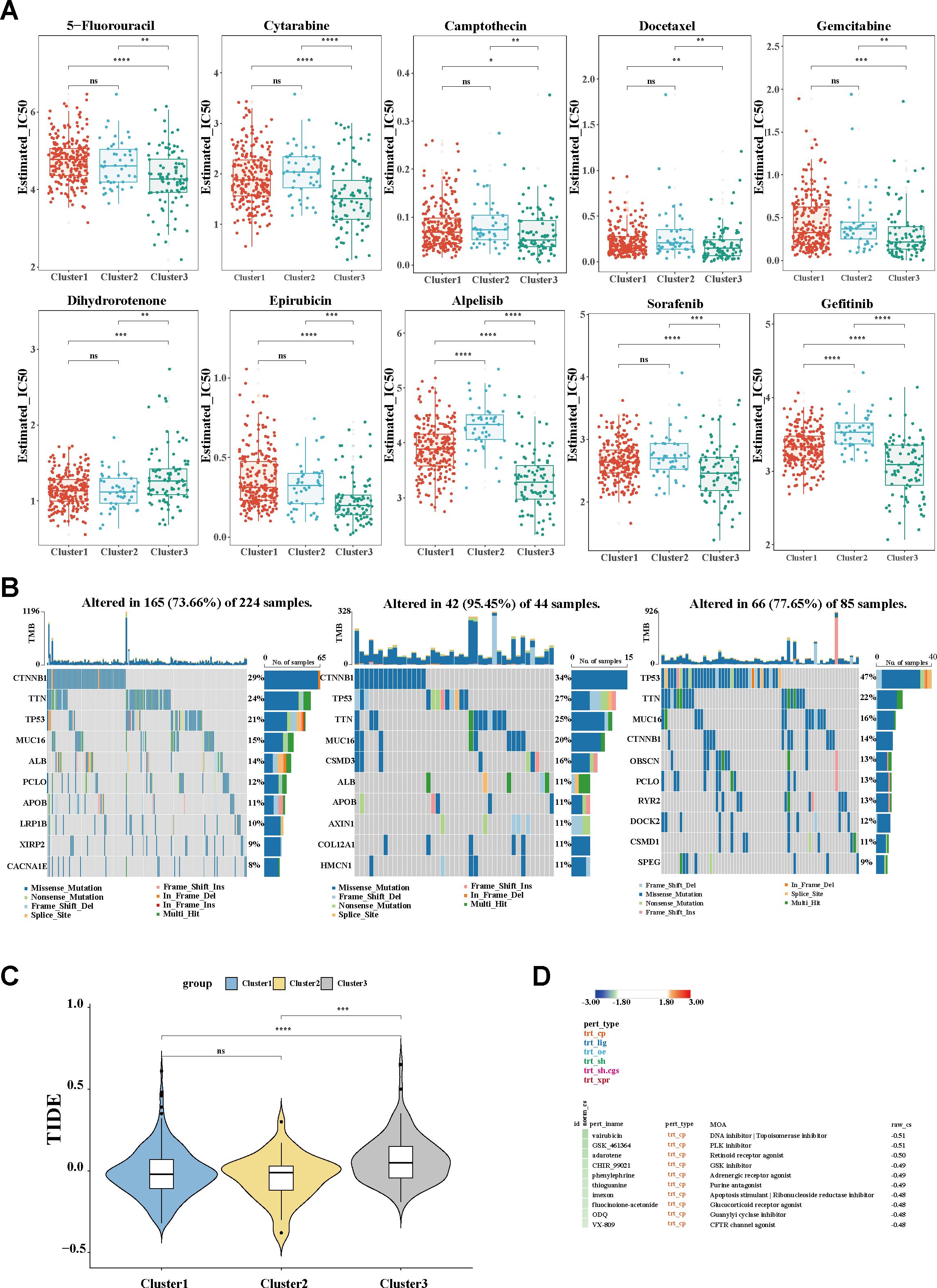 Panel A shows box plots comparing estimated IC50 values for different drugs across three clusters. Panel B contains bar graphs displaying mutation data, with percentages and sample numbers annotated. Panel C features violin plots illustrating TIDE values among clusters, indicating statistical significance. Panel D lists perturbed genes and their associated drug actions, colored by effect magnitude.