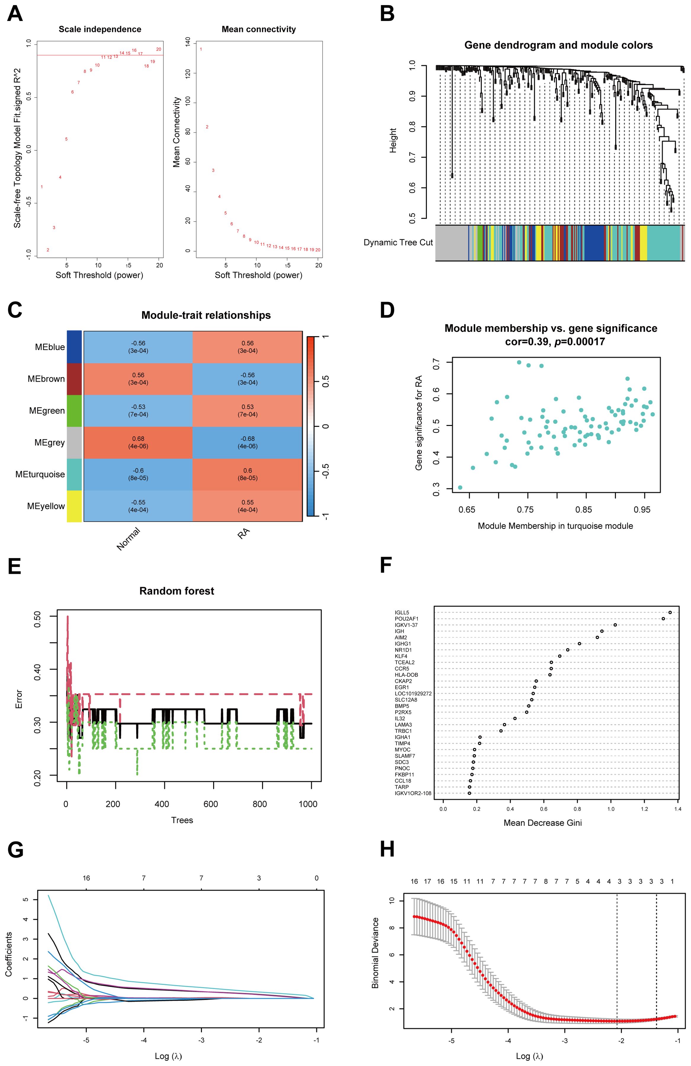 Panel A shows two line graphs depicting scale-free topology and mean connectivity against soft threshold power. Panel B illustrates a gene dendrogram with dynamic tree cut modules. Panel C contains a heatmap of module-trait relationships with correlation coefficients. Panel D presents a scatter plot correlating module membership with gene significance for RA. Panel E features an error rate plot from a random forest analysis. Panel F displays a bar plot of gene importance ranked by mean decrease Gini. Panel G shows a line graph of coefficients versus log lambda. Panel H features a line graph of binomial deviance against log lambda.
