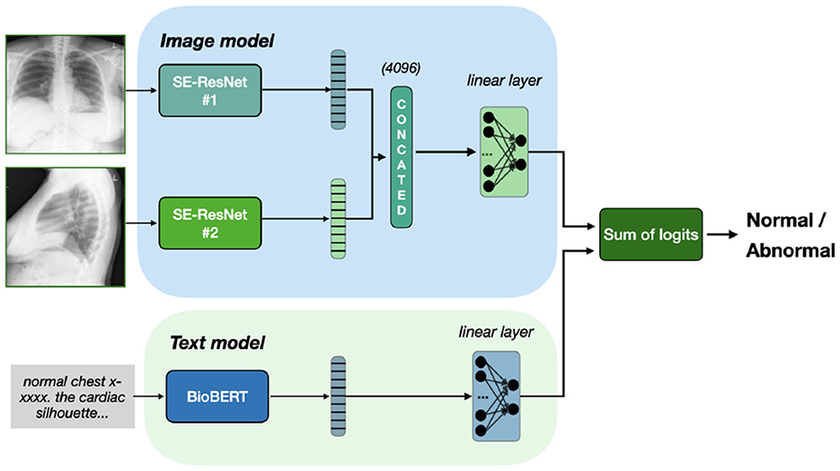 Flowchart illustrating a hybrid model for classifying chest X-rays as normal or abnormal. Two X-ray images are processed through separate SE-ResNet paths, concatenated, then passed to a linear layer. A text description is processed with BioBERT, linked to a linear layer. Outputs from both models converge, resulting in classification based on the sum of logits.