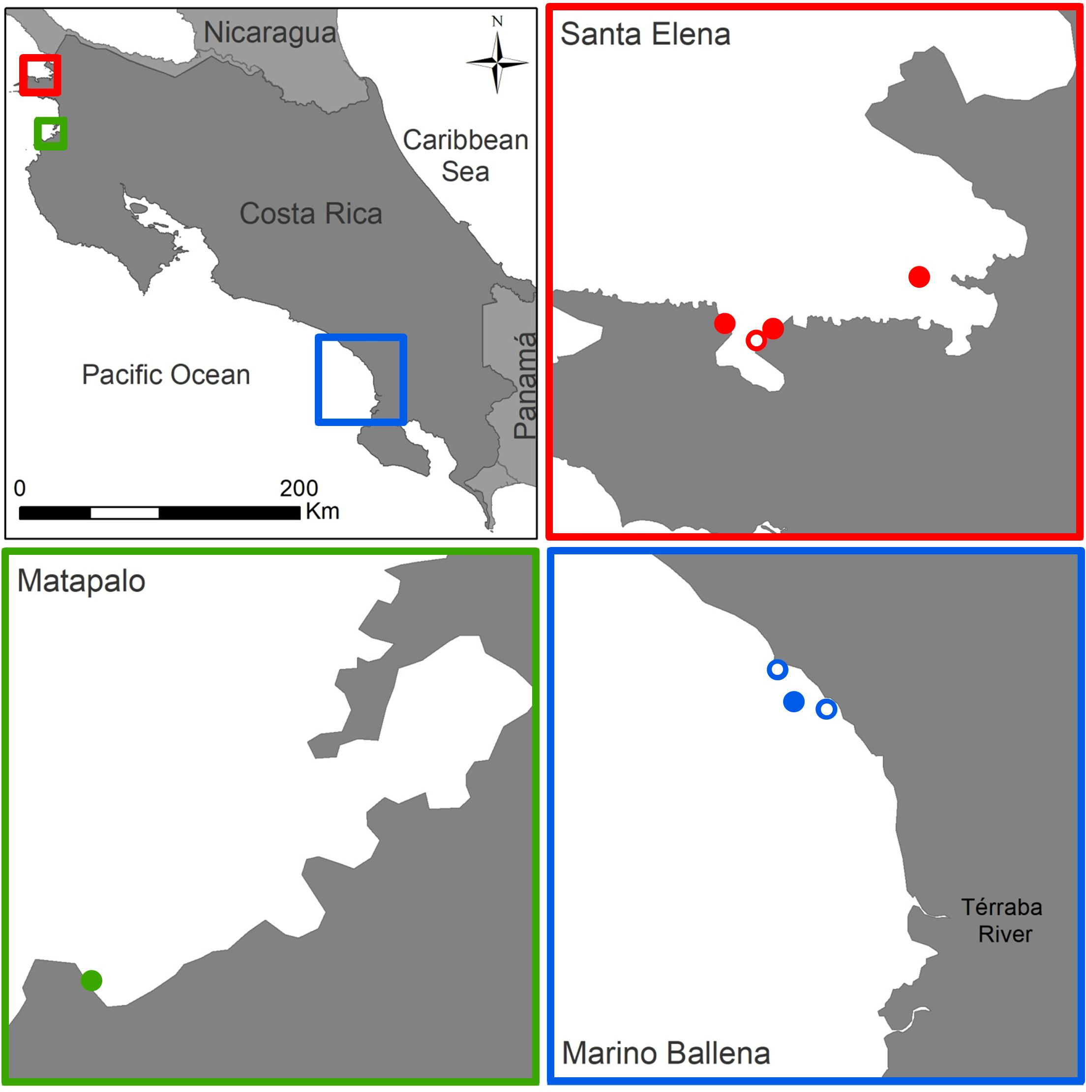 Map of Costa Rica highlighting three specific regions: Santa Elena in a red border with red dots, Matapalo in a green border with a green dot, and Marino Ballena in a blue border with blue dots. The map includes Nicaragua and Panama boundaries, with the Caribbean Sea to the east and the Pacific Ocean to the west. A scale bar indicates distances in kilometers.