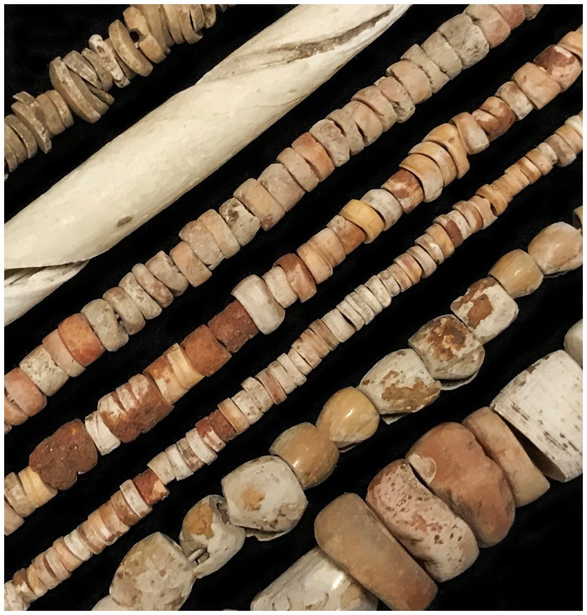 Strings of multiple types of shell beads in varying sizes and earthy tones are displayed in parallel lines. The beads are arranged on a dark background, highlighting their natural colors and textures.