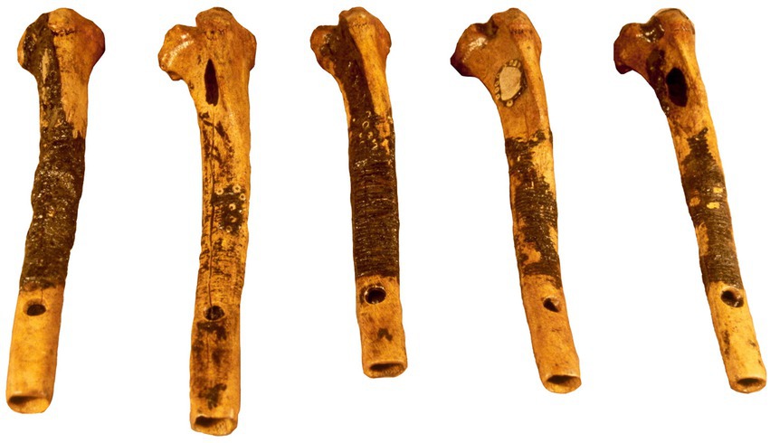 Five bone whistles made from the tibia of deer are displayed vertically against a black background. Whistles are decorated with beads and asphaltum.