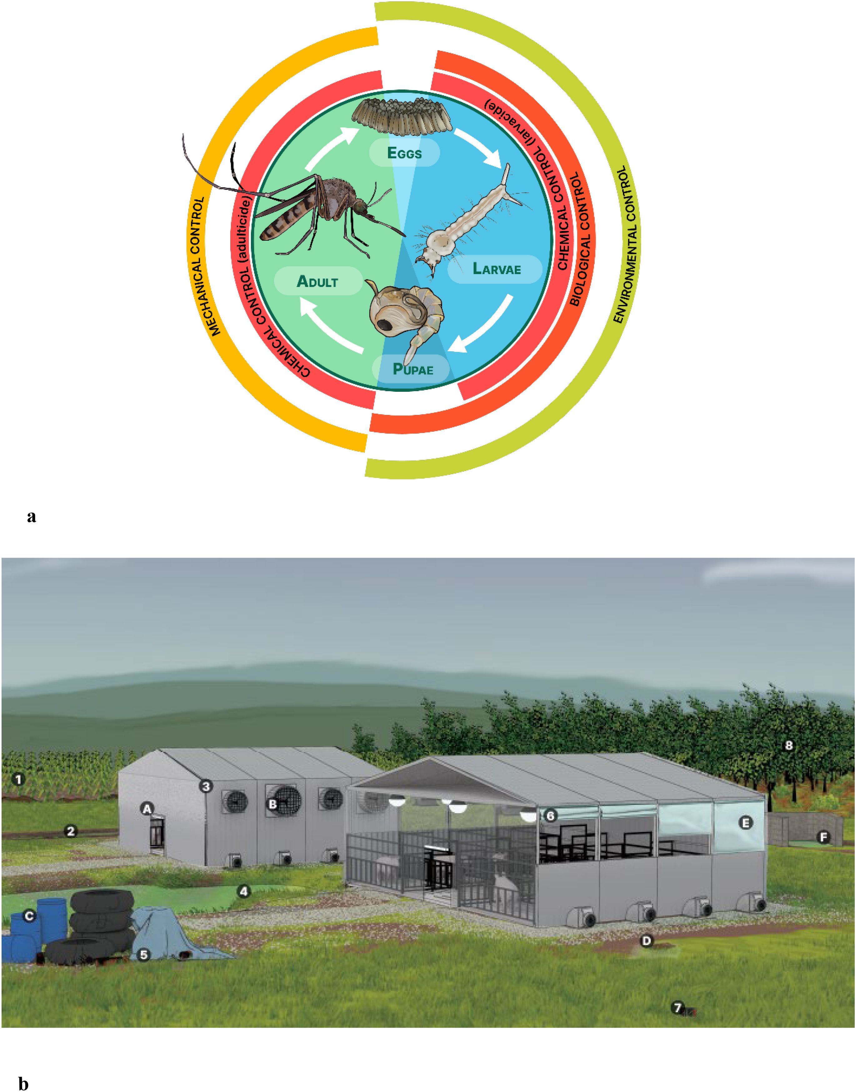 Diagram labeled 'a' illustrates a mosquito life cycle, including stages of eggs, larvae, pupae, and adult, surrounded by control methods: chemical, mechanical, biological, and environmental. Image labeled 'b' depicts a farm setting with two buildings, numbered items represent potential larval habitats including crops, tire tracks, gutters, ponds or lagoons, garbage and adjacent forests. Lettered items represent corresponding mitigation strategies, including installing screens on air intake fans or filling in potholes and tire tracks. Surroundings feature grass, trees, and distant hills.