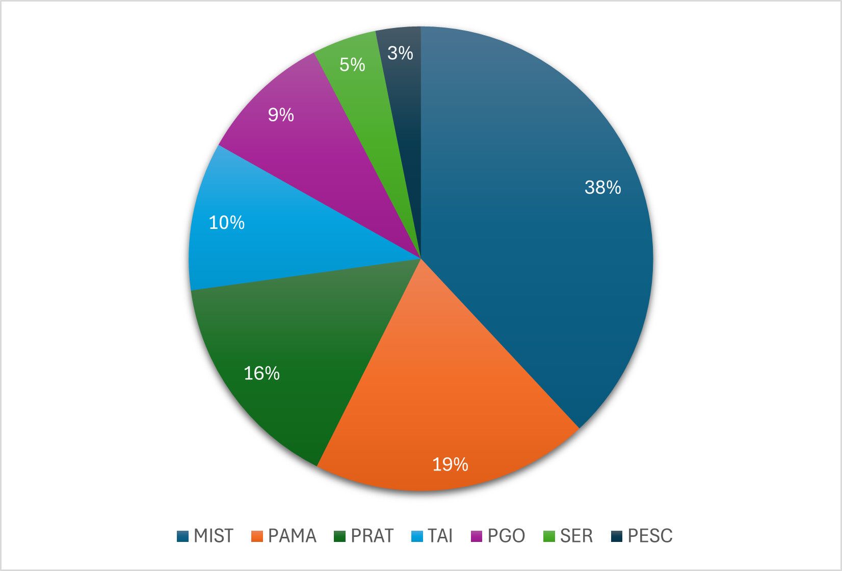 Pie chart illustrating percentages for seven categories: MIST at thirty-eight percent, PAMA at nineteen percent, PRAT at sixteen percent, TAI at ten percent, PGO at nine percent, SER at five percent, and PESC at three percent.