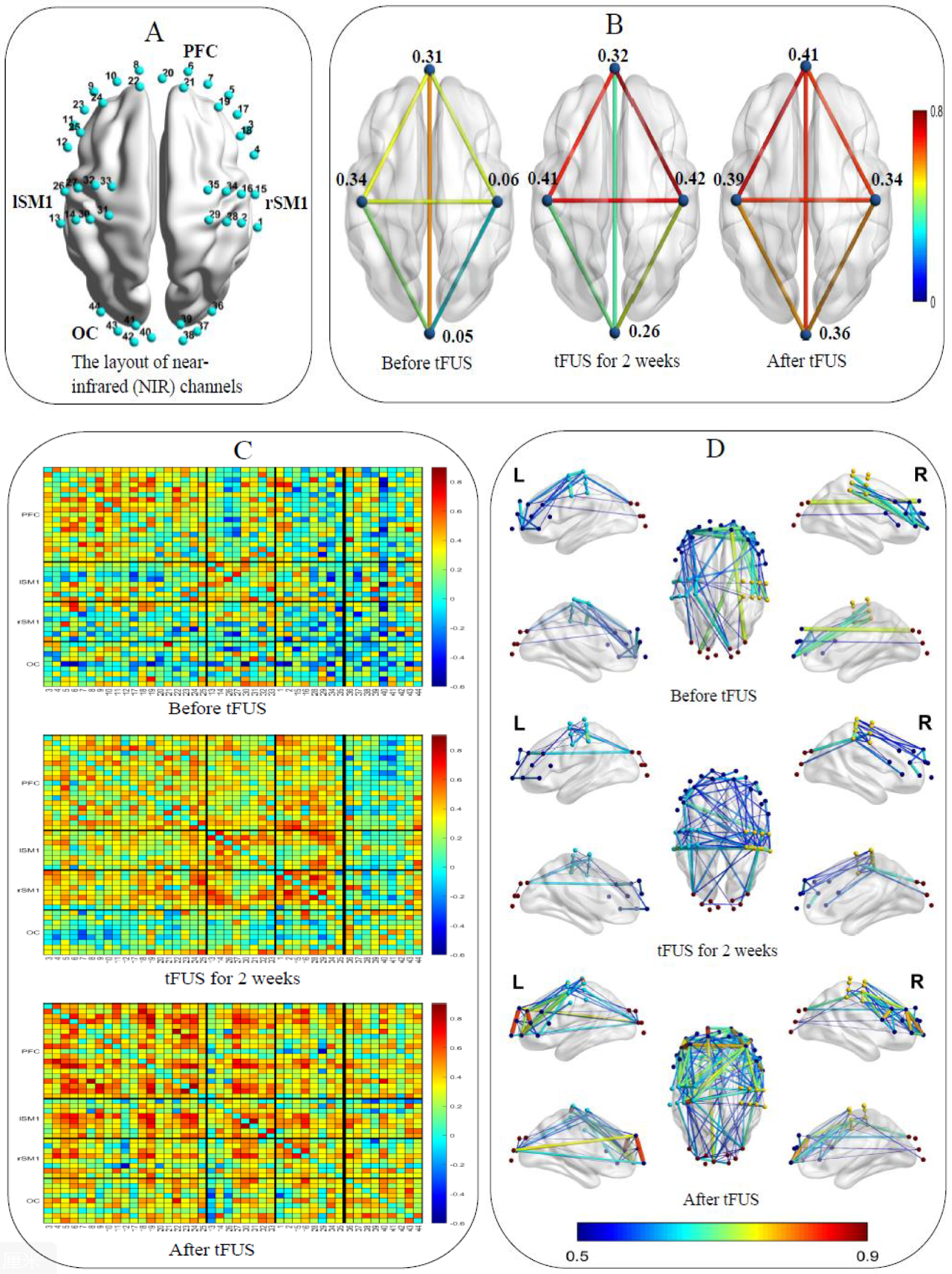 Diagram showing brain imaging data before and after transcranial focused ultrasound (tFUS). Panel A displays near-infrared channels on a brain model. Panel B shows connectivity networks over three stages, highlighted by colored paths with numerical values. Panel C consists of heatmaps depicting brain activity, transitioning from blue to red indicating intensity before, during, and after tFUS. Panel D illustrates brain connectivity through diagrams of lateral views, with labeled left (L) and right (R) sides, showing connectivity changes across stages using lines of varying colors and thicknesses. A color bar represents metric intensity from 0.5 to 0.9.