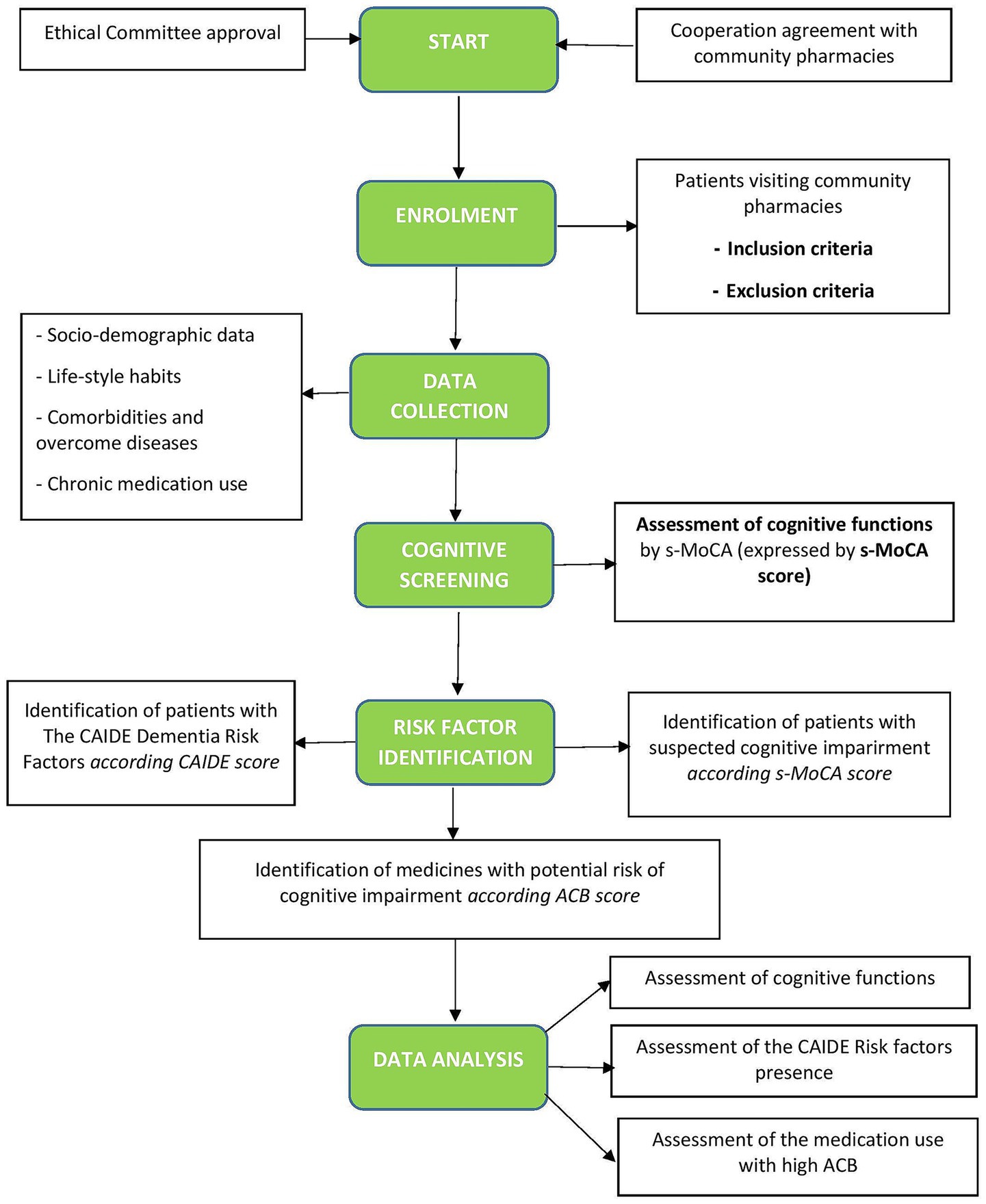 Flowchart illustrating a process for studying cognitive impairment risk in community pharmacy patients. Steps are: Ethical Committee approval and pharmacy agreement lead to enrollment. Data collection gathers socio-demographic and health information. Cognitive screening assesses functions using s-MoCA score. Risk factor identification uses CAIDE and s-MoCA scores. Medicine risk is identified by ACB score. Data analysis assesses cognitive functions, CAIDE risk factors, and high ACB medication use.