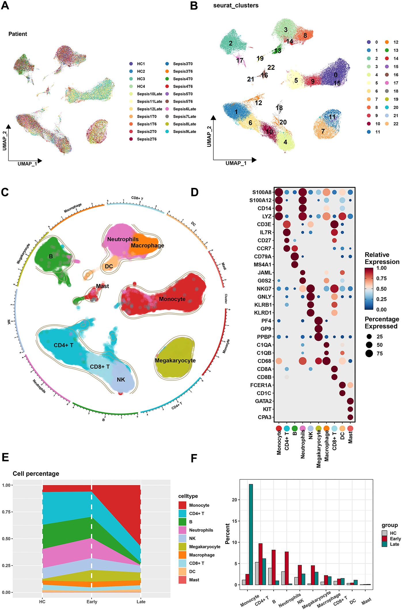 Six-panel figure illustrating various data visualizations related to cell types and expression: A) UMAP plot displaying patient groups with color-coded clusters. B) UMAP plot showing Seurat clusters. C) Circular visualization of cell types, including neutrophils, macrophages, CD4+ T, and others. D) Dot plot depicting relative expression of genes across cell types, indicated by color gradients and circle sizes. E) Stacked area graph showing cell percentage distribution over time: HC, Early, Late. F) Bar chart comparing cell type percentages across groups: HC, Early, Late.