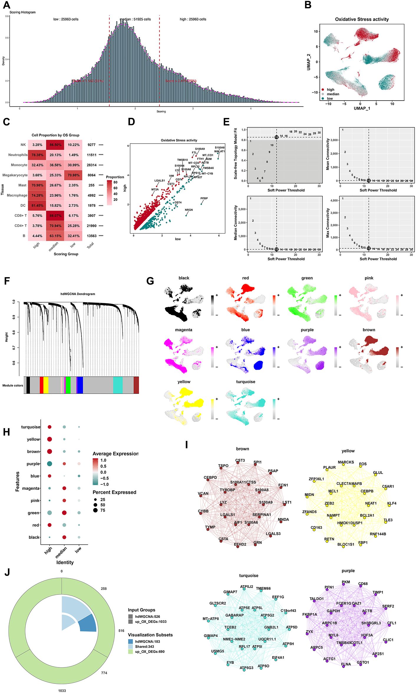 Histogram of scoring data distribution with labeled cell groups, scatter plot of oxidative stress activity, and cell proportion heatmap based on OS group. Diagram showing oxidative stress activity trends. Plots of soft power threshold versus scale-free topology fit index and connectivity metrics. Dendrogram for hierarchical clustering with module colors. Visual representation of expression modules in various colors. Bubble chart of average expression and percent expressed in different features. Network diagrams for brown, yellow, turquoise, and purple gene modules. Donut chart visualizing input groups and subsets.