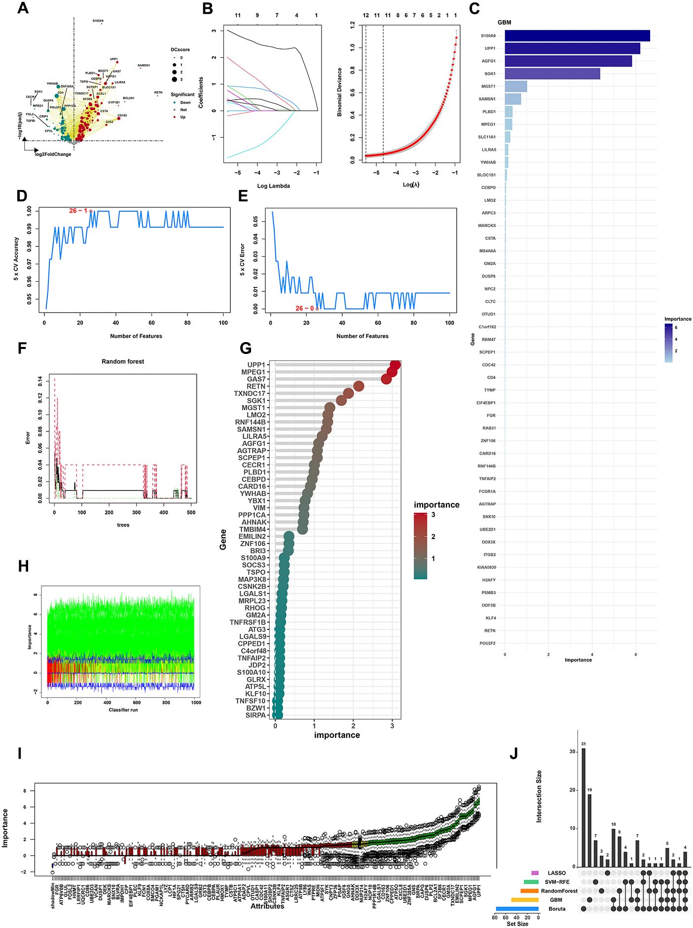 A collage of charts and graphs displaying various statistical analyses and gene importance measure in bioinformatics. Panel A shows a scatter plot of gene expression. Panel B illustrates Lasso regression plots. Panel C presents a bar chart of gene importance in GBM. Panels D and E depict cross-validation accuracy and error. Panel F shows random forest error rates. Panel G is a dot plot of gene importance. Panel H displays a classifier importance run with cross-validation. Panel I contains a box plot of attribute importance. Panel J has an intersection plot comparing different methods: LASSO, SVR-RFE, Random Forest, GBM, and Boruta.