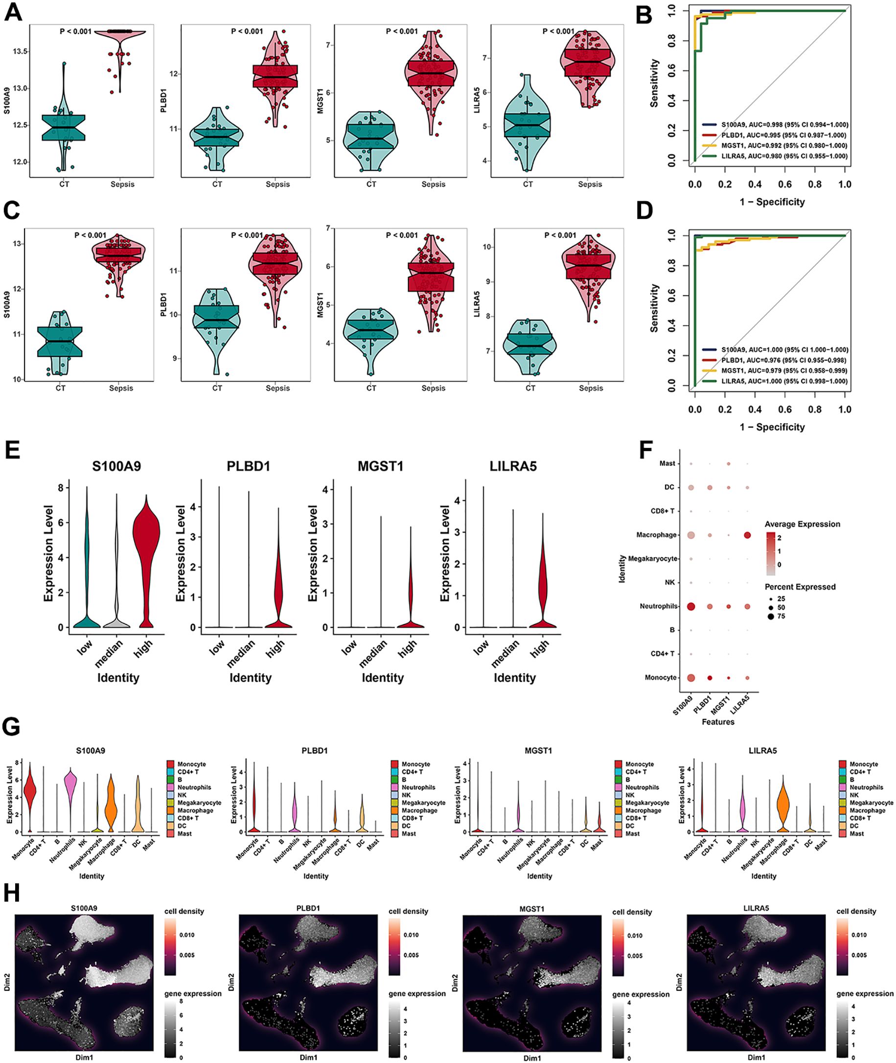 Charts illustrate gene expression and diagnostic performance in sepsis versus control (CT) groups. Panels A and C show violin plots of gene expressions (S100A9, PLBD1, MGST1, LILRA5) with significant differences. Panels B and D display ROC curves for diagnostic accuracy. Panel E presents violin plots for expression levels of the same genes by identity. Panel F shows a dot plot of gene expression across cell types. Panel G provides violin plots of gene expression across various identities. Panel H presents spatial gene expression maps with cell density and gene expression visualized in dark backgrounds.