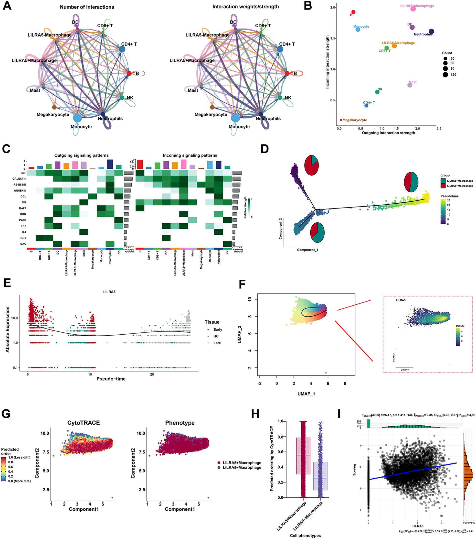 Various data visualizations analyze cell interactions and behaviors. Panel A features circular diagrams of cell types with lines indicating interaction numbers and strengths. Panel B shows a scatter plot contrasting incoming and outgoing interaction strengths. Panel C includes heatmaps of signaling patterns across cell types. Panel D projects cell groups on a dimensional plot with pie charts. Panel E displays pseudo-time plots of gene expression. Panel F presents UMAP projections with density contours. Panel G contains scatter plots for CytoTRACE analysis and phenotypes. Panel H shows a box plot comparing CytoTRACE scores. Panel I includes a scatter plot with a trendline and density plots.