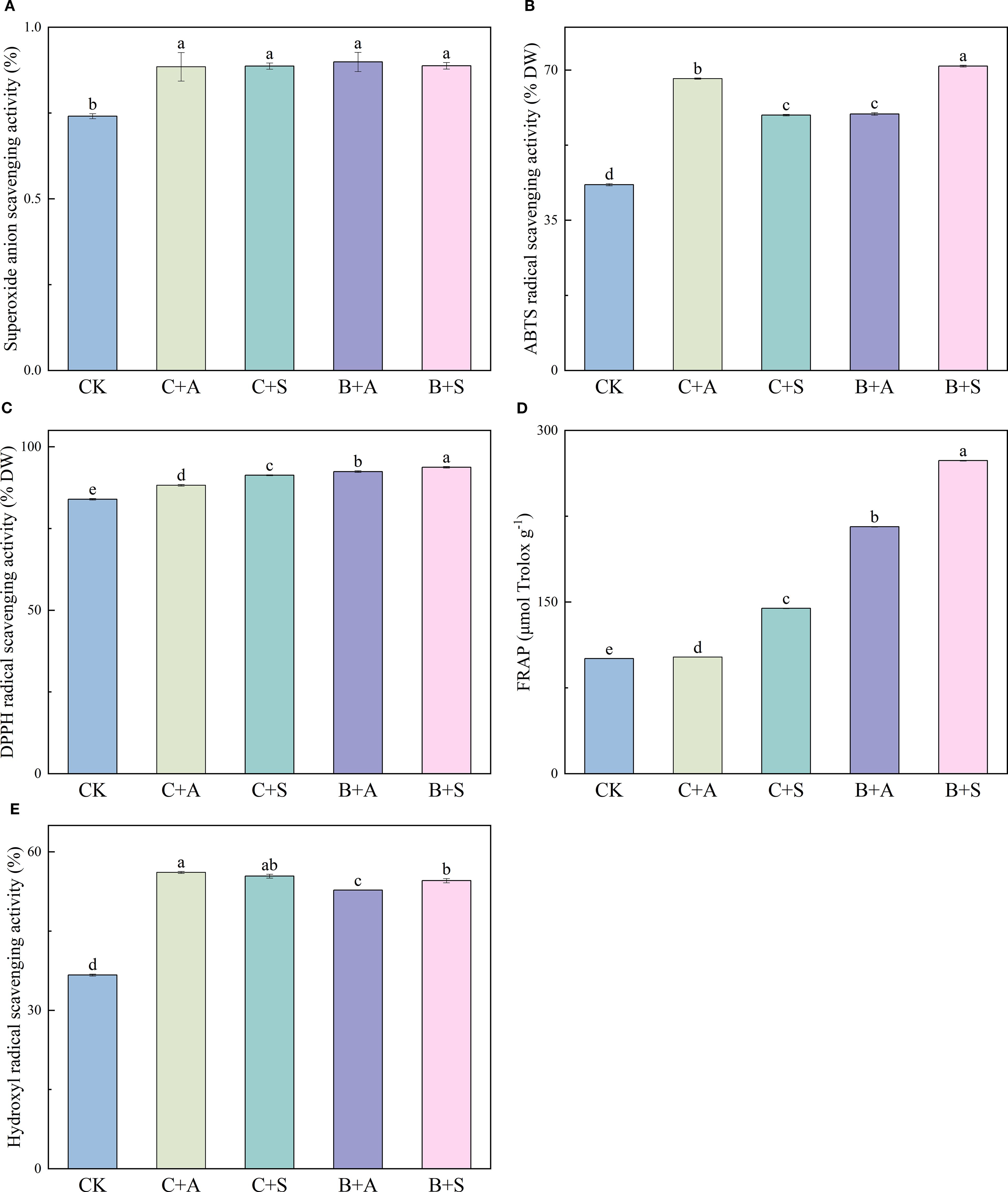 Five bar graphs compare different antioxidant activities and FRAP values across five treatments: CK, C+A, C+S, B+A, and B+S. Graph A shows superoxide anion scavenging activity, higher in all treatments than CK. Graph B shows ABTS activity, with B+S highest. Graph C depicts DPPH activity, increasing from CK to B+S. Graph D shows FRAP values, lowest in CK and highest in B+S. Graph E illustrates hydroxyl radical activity, with C+A highest. Each graph has error bars and uses different pastel colors for each treatment.