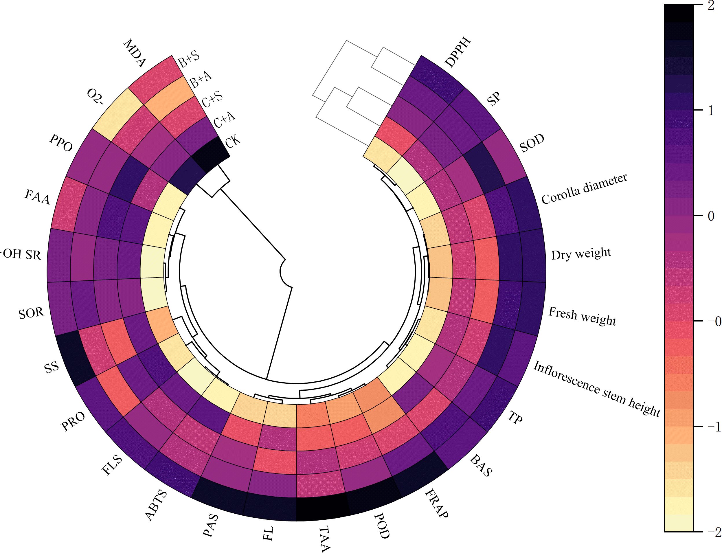 A circular heatmap visualizing data comparisons among several variables. The outer ring includes labels such as MDA, O2-, PPO, and others. The inner ring includes labels like DPPH, SP, and SOD. Color gradients range from dark purple to light yellow, with a scale from negative two to positive two, indicating intensity levels. The right-side legend explains the color scale.