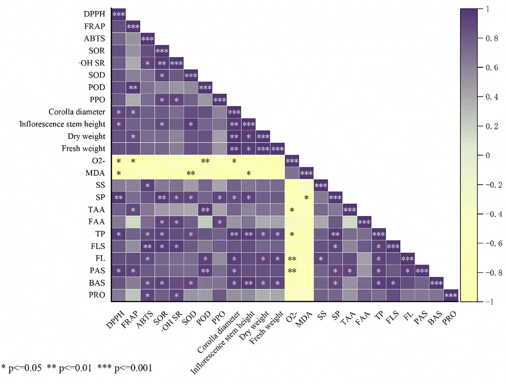 Heatmap illustrating the correlation between various biochemical and morphological parameters, with values ranging from -1 to 1. Significance levels are indicated by asterisks: * for p<0.05, ** for p<0.01, and *** for p<0.001. Purple and yellow color gradients represent the correlation strength and direction.