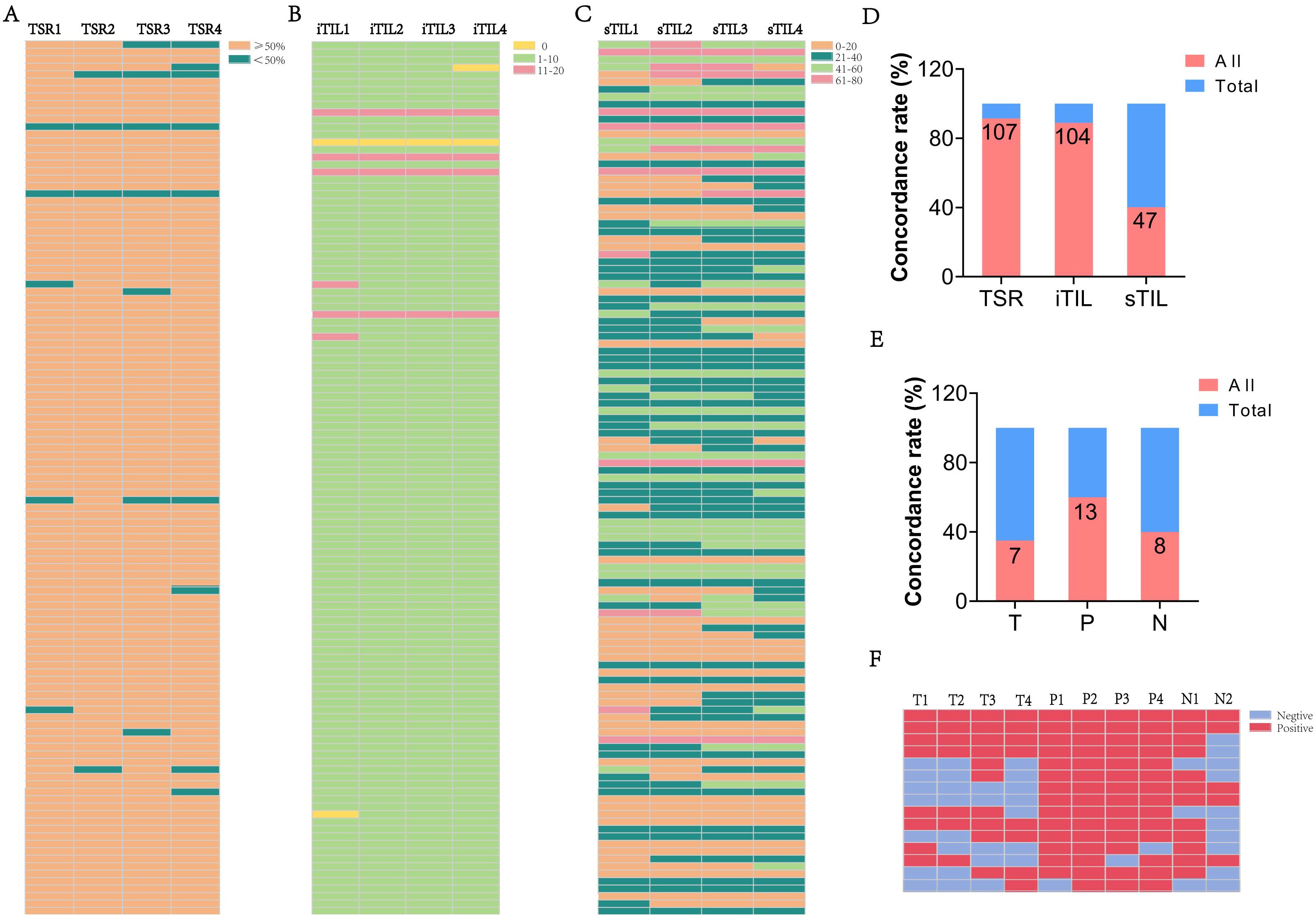 Comparison of heatmaps and bar charts outlining data distributions. Panels A to C show heatmaps with varying color codes indicating different data ranges for TSR, iTIL, and sTIL. Panels D and E feature stacked bar charts illustrating concordance rates, with red representing category “A II” and blue representing “Total.” Panel F displays a heatmap comparing “Negative” and “Positive” values across different categories and groups labeled T, P, and N.
