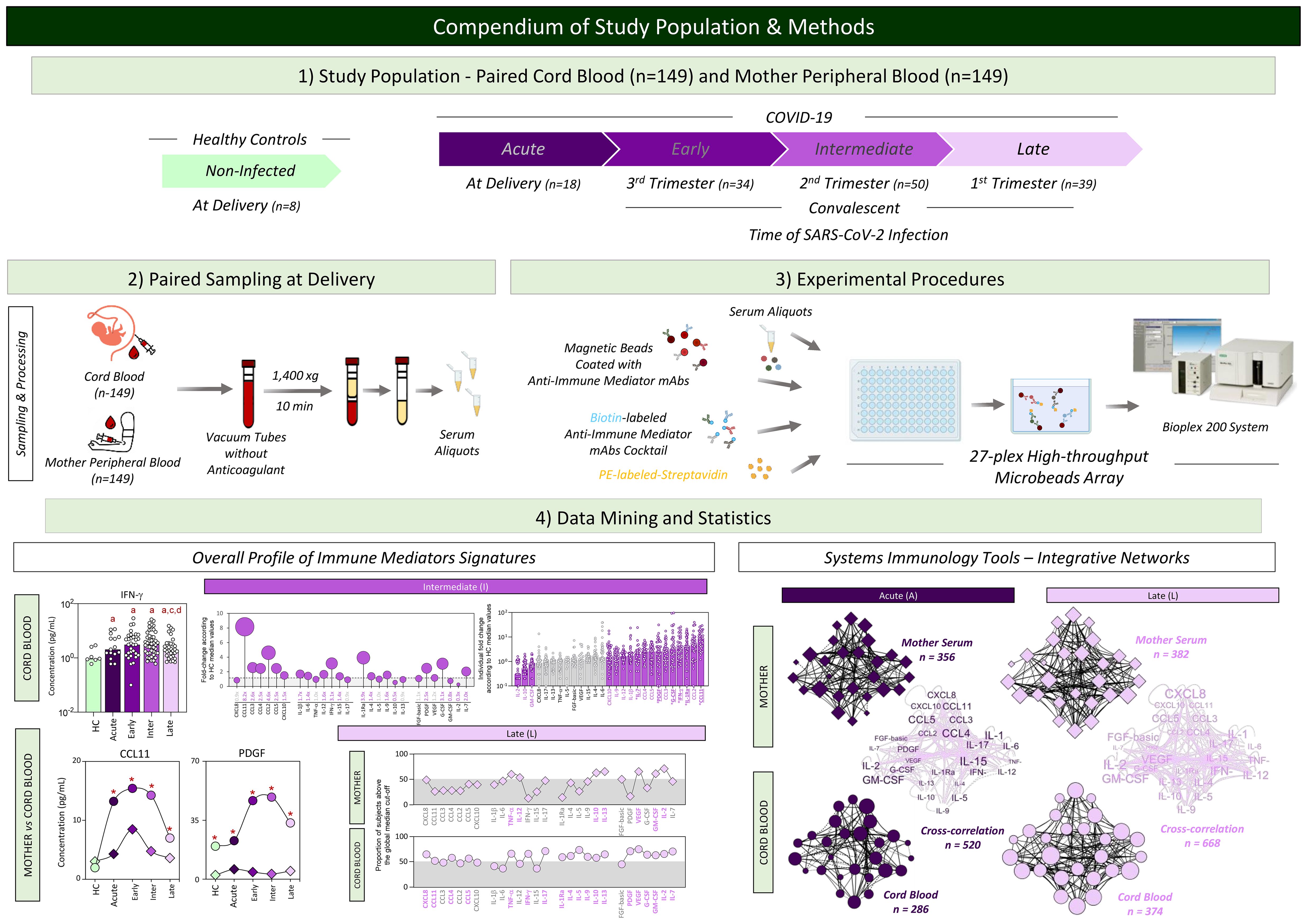 Compendium of study population and methods diagram detailing study groups, sampling, procedures, and data analysis. Includes COVID-19 related groups, sampling from cord and mother peripheral blood, experimental procedures using microbeads, and data visualizations on immune mediators. Statistical methods encompass immune signature profiles and network analysis of systems immunology.