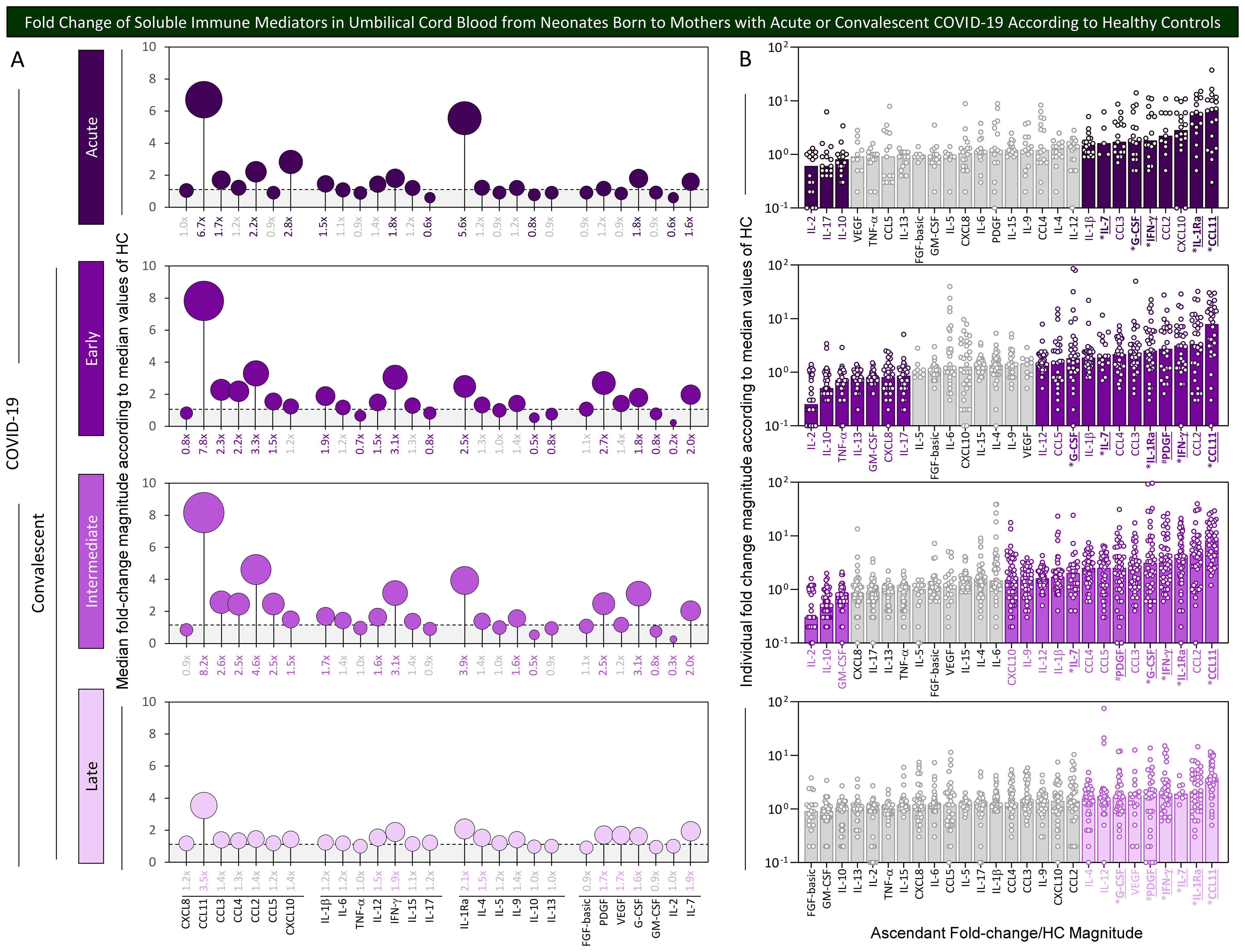Graphs comparing the fold change of soluble immune mediators in umbilical cord blood from neonates born to mothers with acute or convalescent COVID-19 versus healthy controls. Panel A represents median fold-change values with varying bubble sizes indicating magnitude. Panel B shows individual fold changes in a bar graph format, with different shades of purple denoting stages and severity of COVID-19 in mothers. Labels on the axes indicate various immune mediators such as IL-17, VEGF, and TNF, with corresponding values.