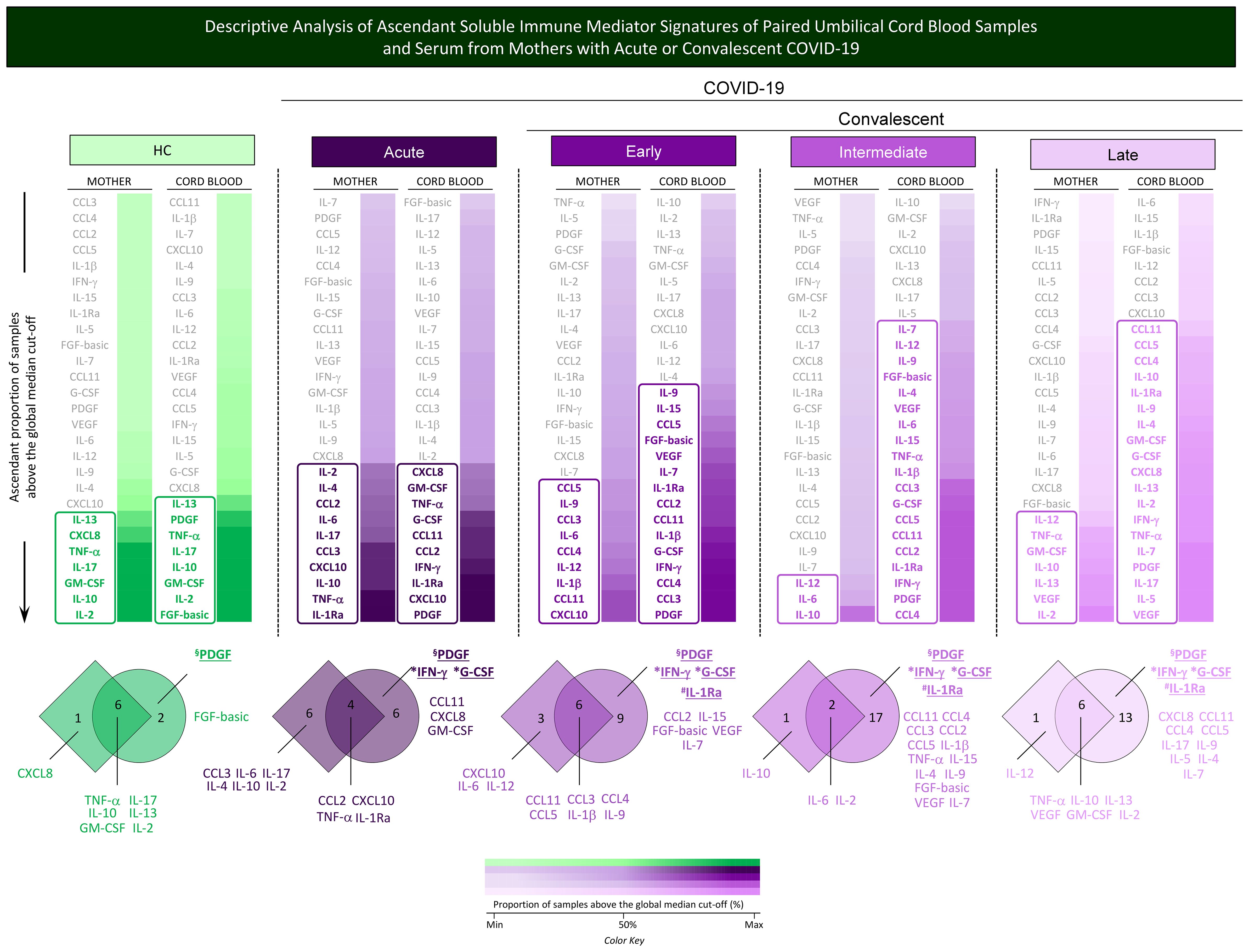 Chart depicting the ascendant soluble immune mediator signatures from paired umbilical cord blood and serum of mothers with various stages of COVID-19: HC, Acute, Early, Intermediate, and Late Convalescent. The chart uses color gradients to show mediator levels, with annotations indicating notable mediators. A diamond diagram illustrates mediator interrelationships, with identifiers like PDGF, CXCL8, and others, marked across different stages. Color keys indicate proportions above the median cut-off.