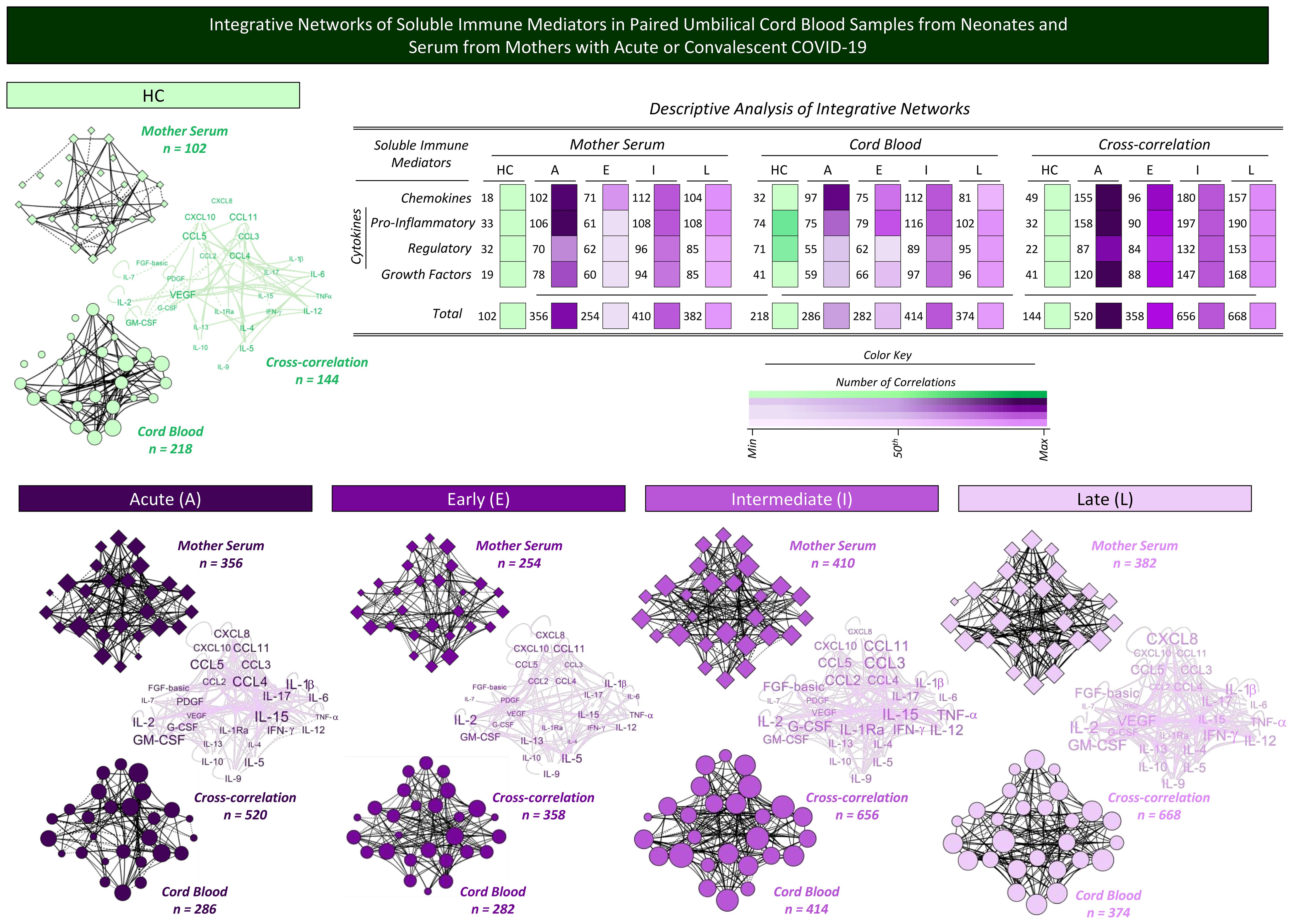Graphical representation of networks illustrating soluble immune mediators in paired umbilical cord blood samples and maternal serum from neonates and mothers with acute or convalescent COVID-19. The top section includes a table analyzing networks of chemokines, pro-inflammatory, regulatory, and growth factors. Below are network diagrams categorized into conditions: Healthy Controls (HC), Acute (A), Early (E), Intermediate (I), and Late (L), showing connectivity in mother serum, cord blood, and cross-correlation. A color key indicates correlations from minimum to maximum. Text describes the sample size for each network.