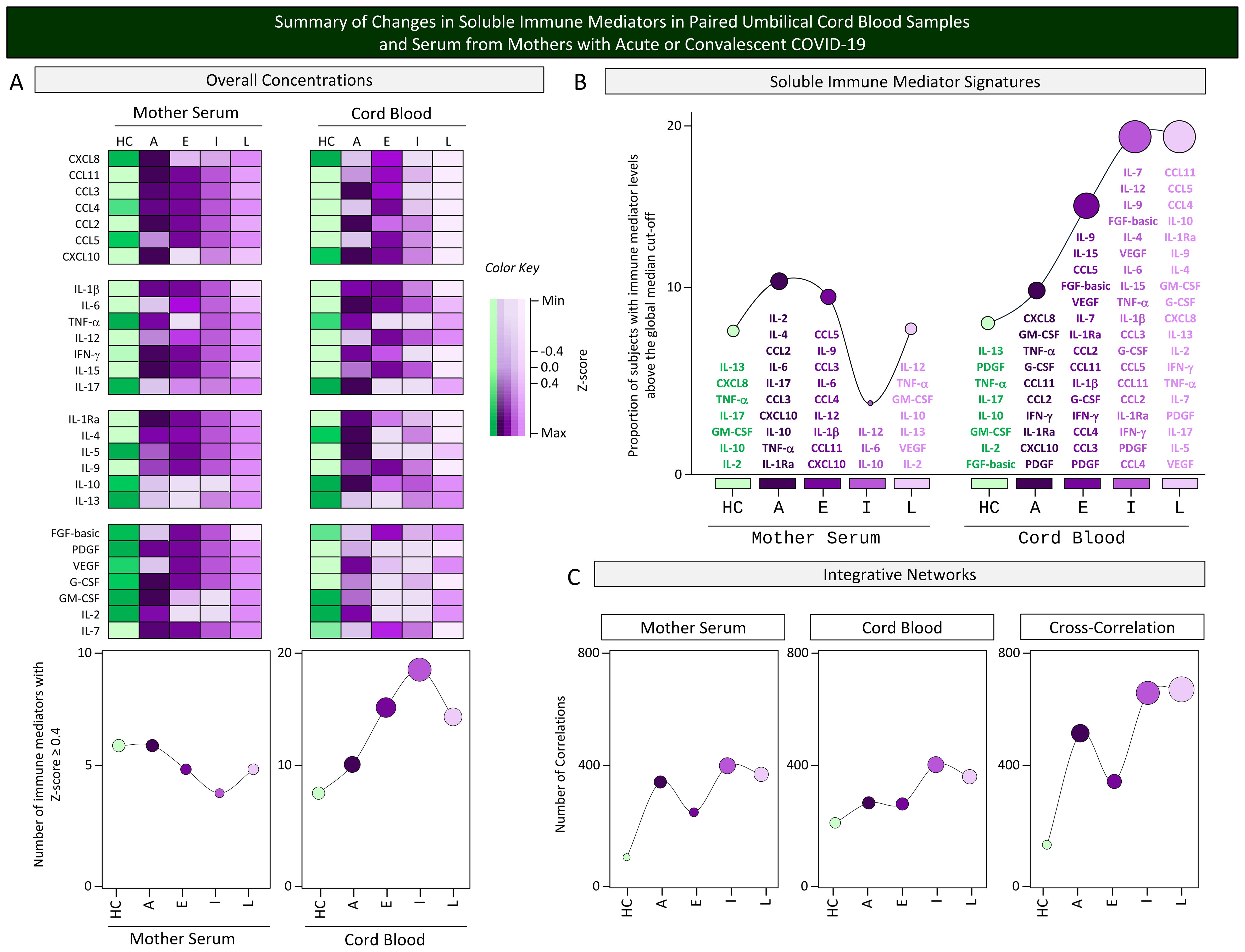 Heatmaps and graphs summarize changes in soluble immune mediators in paired umbilical cord blood and maternal serum from mothers with acute or convalescent COVID-19. The heatmaps show variations in immune mediators such as CXCL8, IL-1β, and others, with a color key indicating z-scores from minimum to maximum. Graphs indicate the number of immune mediators exceeding a z-score of 0.4 and show soluble immune mediator signatures. Integrative networks illustrate correlations within mother serum, cord blood, and cross-correlations, with different data points for healthy control (HC), acute (A), early recovery (E), and late recovery (L).