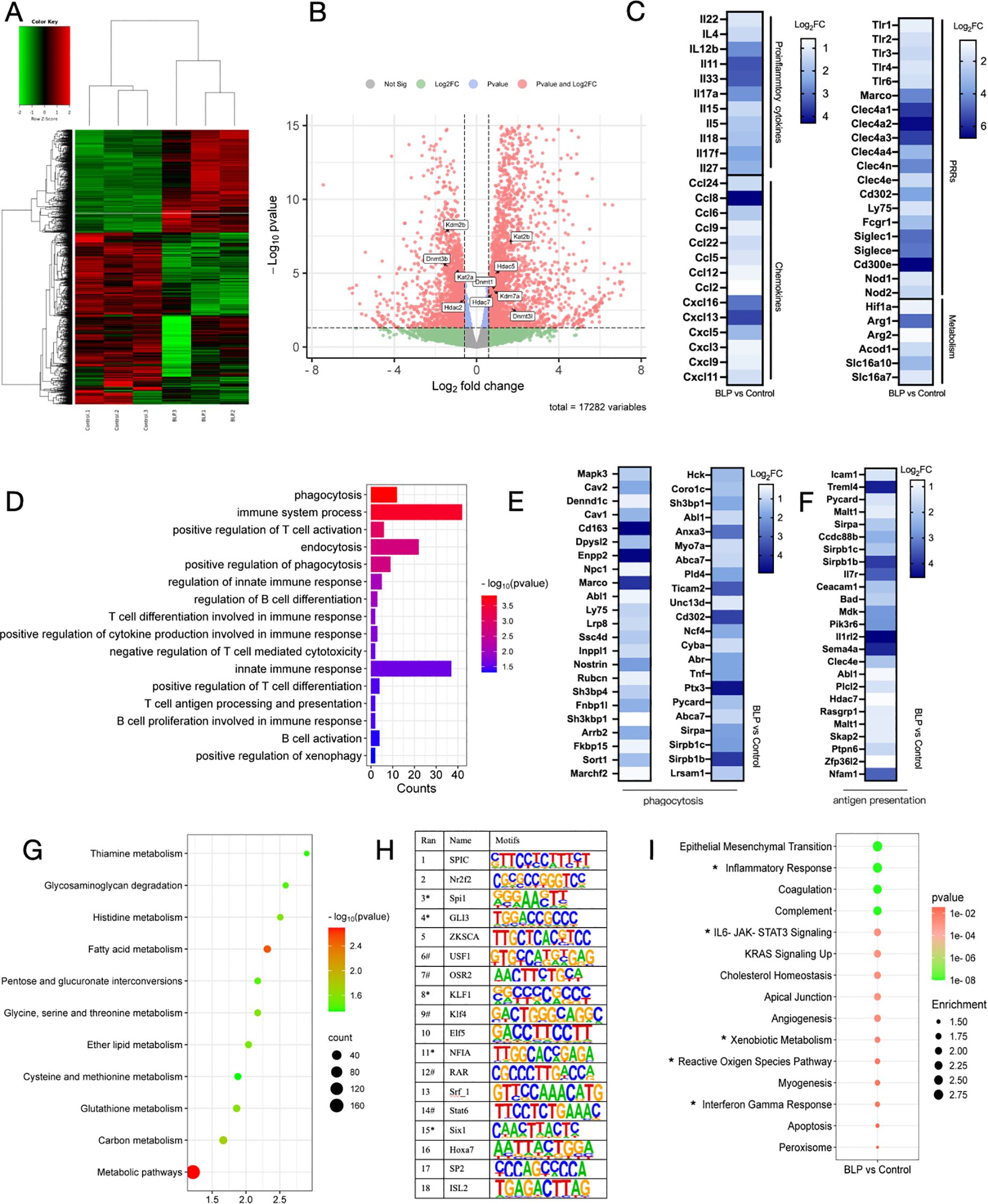The image consists of multiple panels displaying various scientific data visualizations. Panel A shows a heatmap with hierarchical clustering. Panel B is a volcano plot highlighting significant variables in a dataset of 17,282 variables. Panel C and E display heatmaps comparing log fold changes across different conditions. Panel D is a bar chart listing biological processes with their corresponding p-values. Panel F shows another heatmap for antigen presentation. Panel G is a bubble plot representing metabolic pathways. Panel H contains sequences of motifs. Panel I is a dot plot showing different pathways with p-values and enrichment scores.