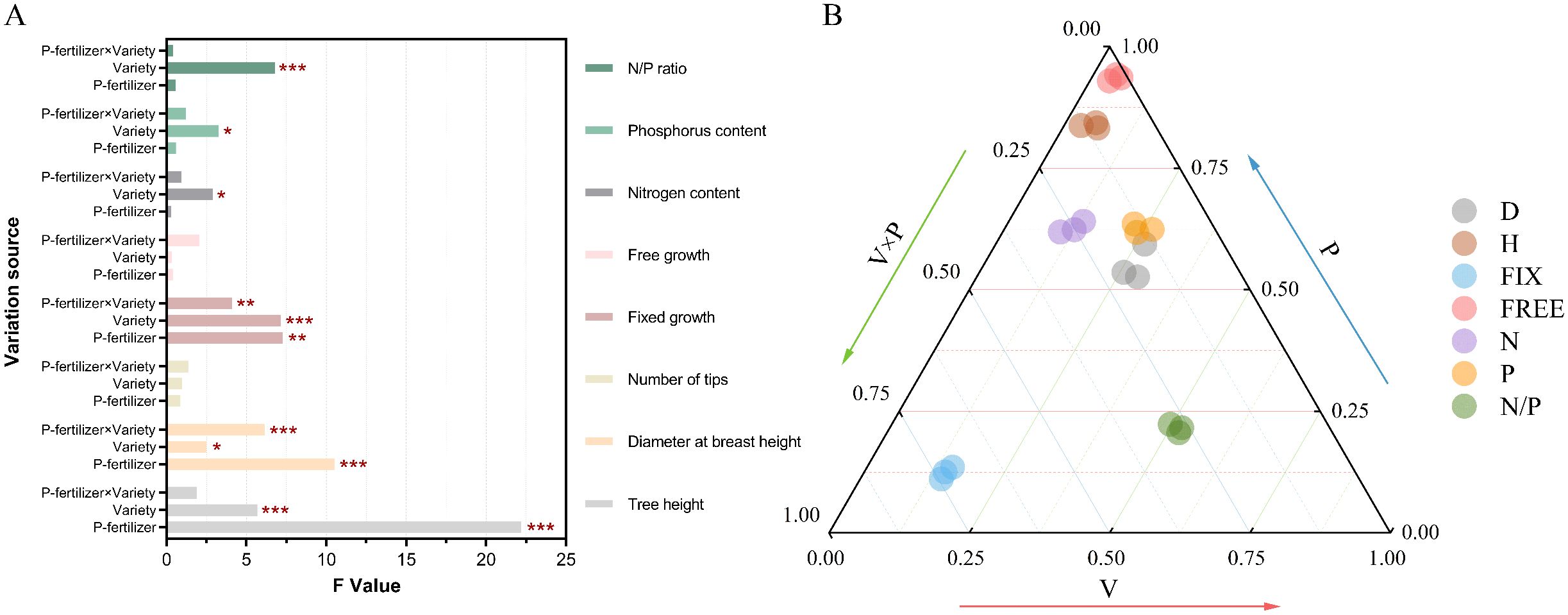 Graph A shows a bar chart with F values of various variation sources, including P-fertilizer, variety, and their interaction, with significance marked by asterisks. Different colors represent factors like N/P ratio, phosphorus content, and tree height. Graph B is a ternary plot with colored points representing various factors, demonstrating a relationship between the variables V, P, and their interaction \(V \times P\). A color key identifies different metrics such as diameter, height, and growth types.