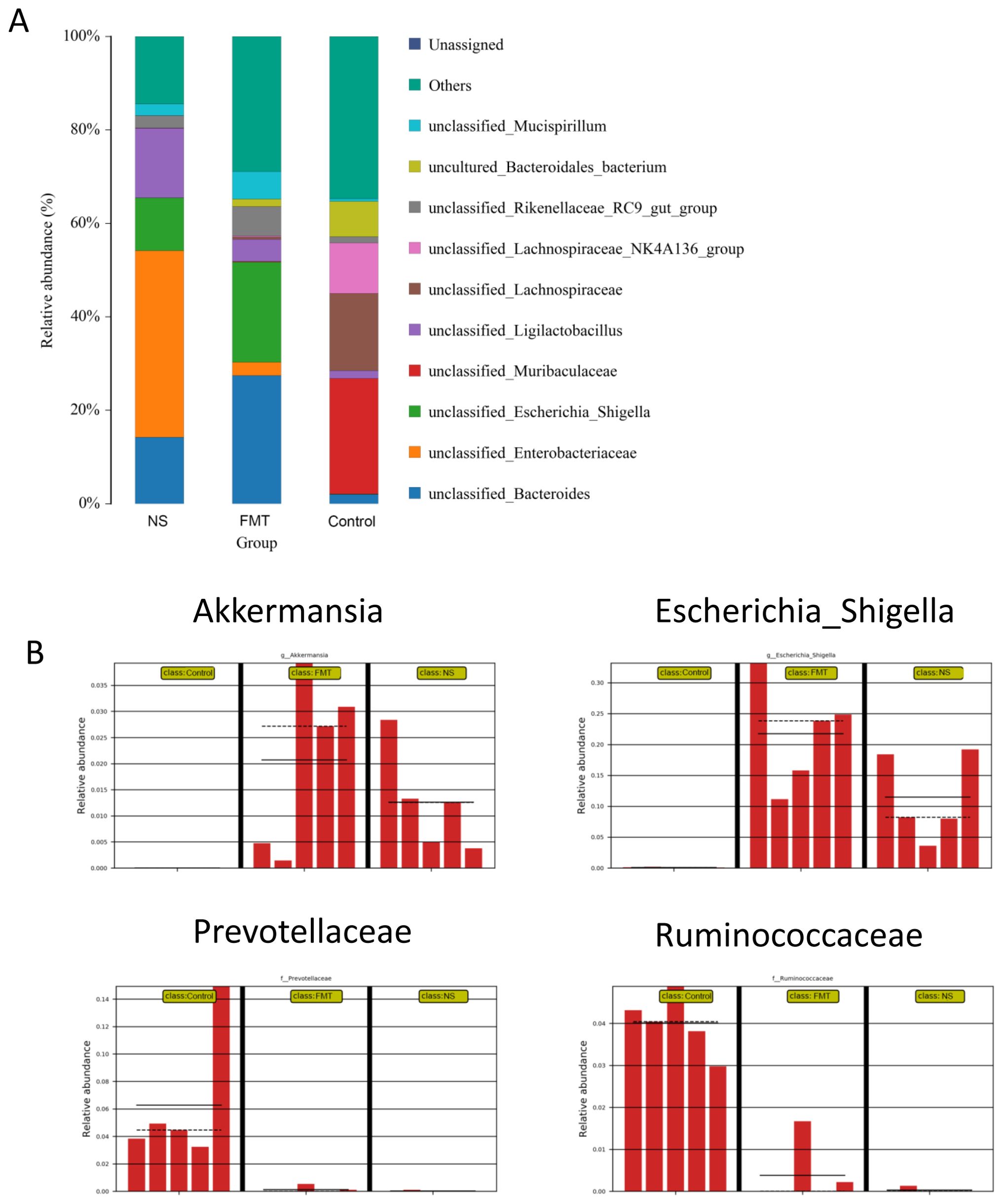 Group A shows a stacked bar chart of relative abundances of various bacterial taxa across three groups: NS, FMT Group, and Control. Group B includes four bar charts for Akkermansia, Escherichia_Shigella, Prevotellaceae, and Ruminococcaceae, depicting relative abundance in Control, FMT, and NS groups. Each chart uses red bars and indicates variance with dotted lines.