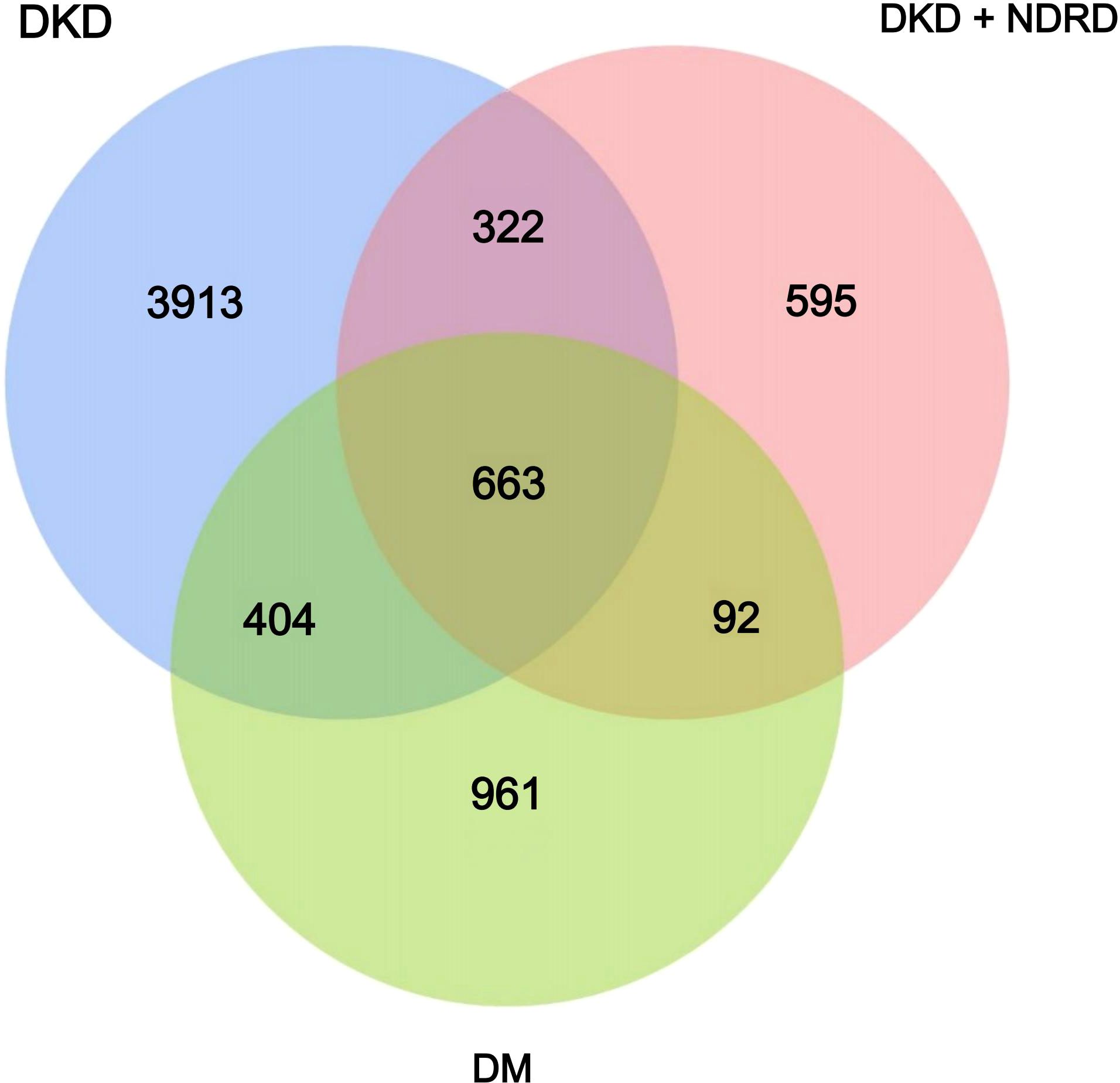 Venn diagram with three overlapping circles labeled DKD, DKD + NDRD, and DM. The DKD circle contains 3,913, DKD + NDRD contains 595, and DM contains 961. Overlaps show 322 for DKD and DKD + NDRD, 404 for DKD and DM, 92 for DM and DKD + NDRD, and 663 in the center for all three categories.
