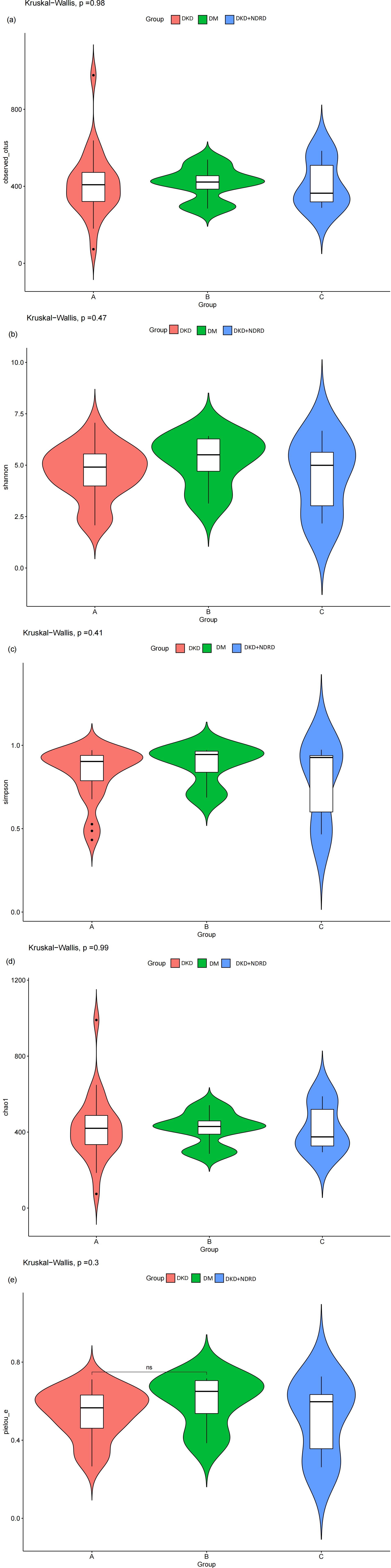 Five violin plots display data distributions across three groups: DKD (red), DM (green), and DKD+NRD (blue). The plots are labeled as (a) through (e), with Kruskal-Wallis test p-values provided: (a) p=0.98, (b) p=0.47, (c) p=0.41, (d) p=0.99, and (e) p=0.3. Each plot shows variable distributions with medians and interquartile ranges.