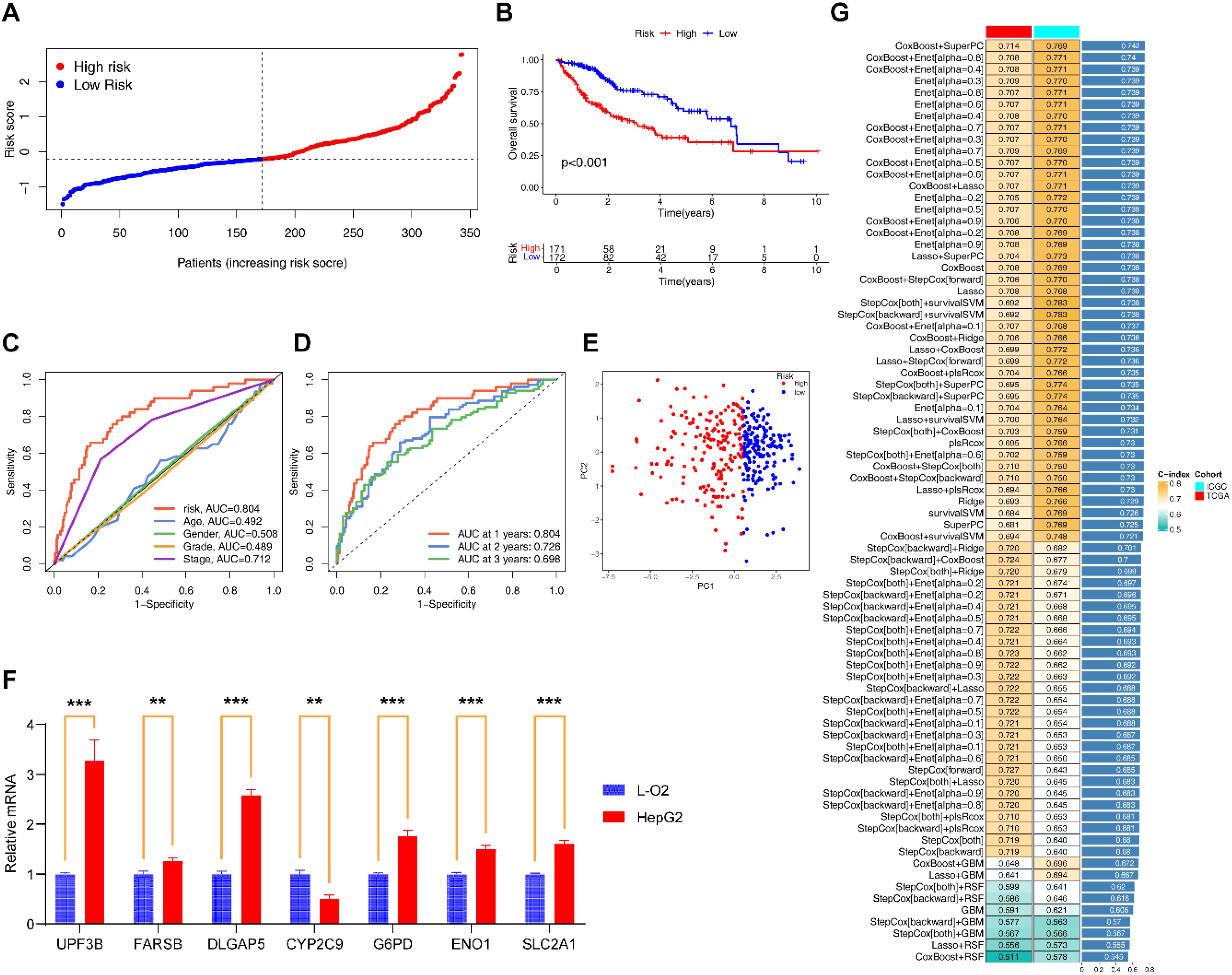 Panel A displays a risk score plot differentiating high-risk (red) and low-risk (blue) patients. Panel B shows a survival curve comparing these groups, with high risk associated with lower survival. Panels C and D present ROC curves with various AUC values demonstrating predictive performance. Panel E depicts a PCA plot differentiating risk groups. Panel F illustrates a bar graph of relative mRNA expression levels for specific genes in L-O2 and HepG2 cells. Panel G includes a heatmap showing C-index values across different cohorts and models.