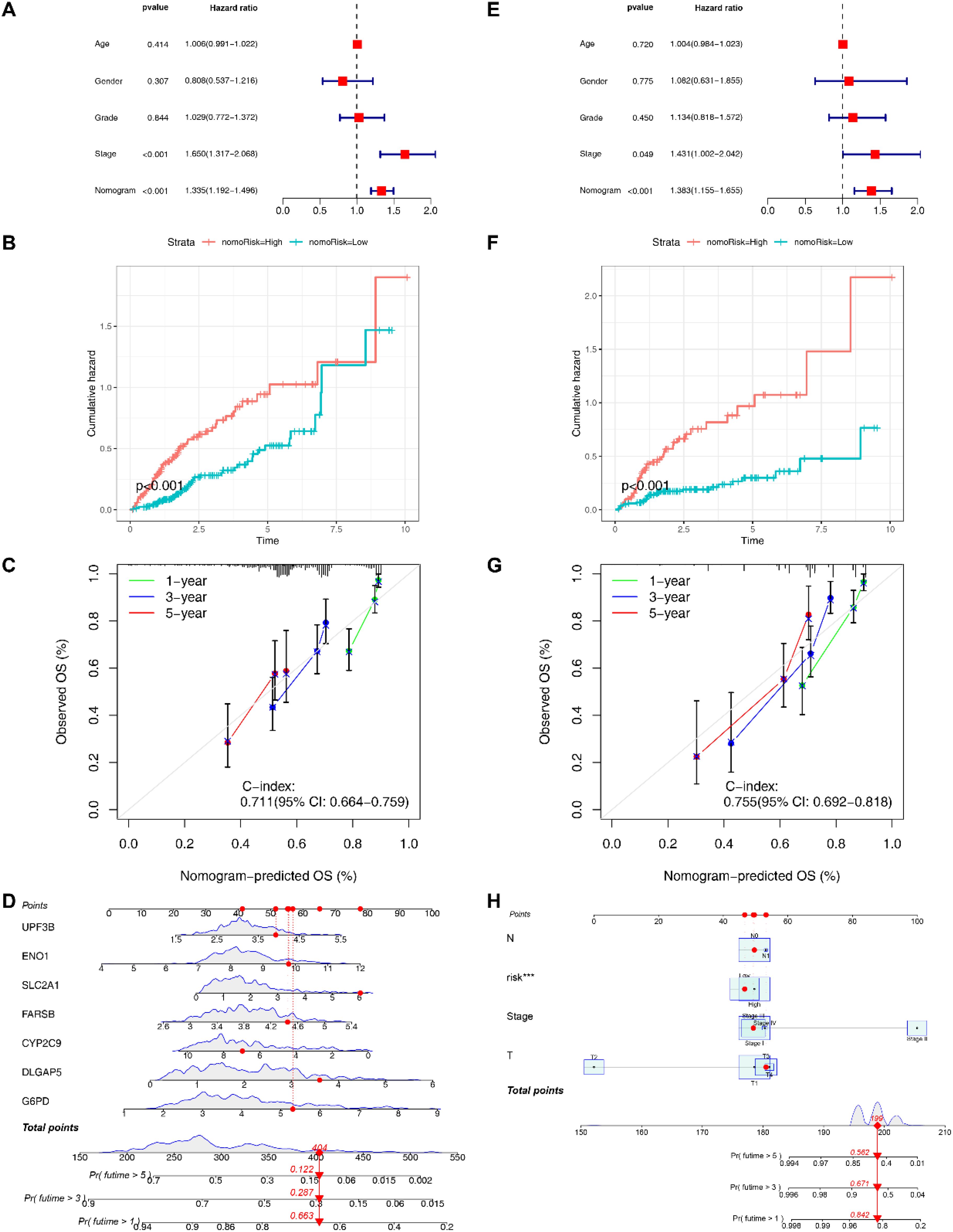 Two panels of medical data visualizations comparing high and low nomogram risk indicators. Panel A and E show forest plots with hazard ratios for variables like age, gender, grade, and stage, depicting statistical significance. Panels B and F present cumulative hazard curves over time for high and low-risk groups with significant separation. Panels C and G show calibration plots for observed versus predicted overall survival at one, three, and five years. Panel D and H provide nomogram diagrams illustrating points associated with clinical variables and predicted survival probabilities. Each panel supports prognostic evaluation and model validation.