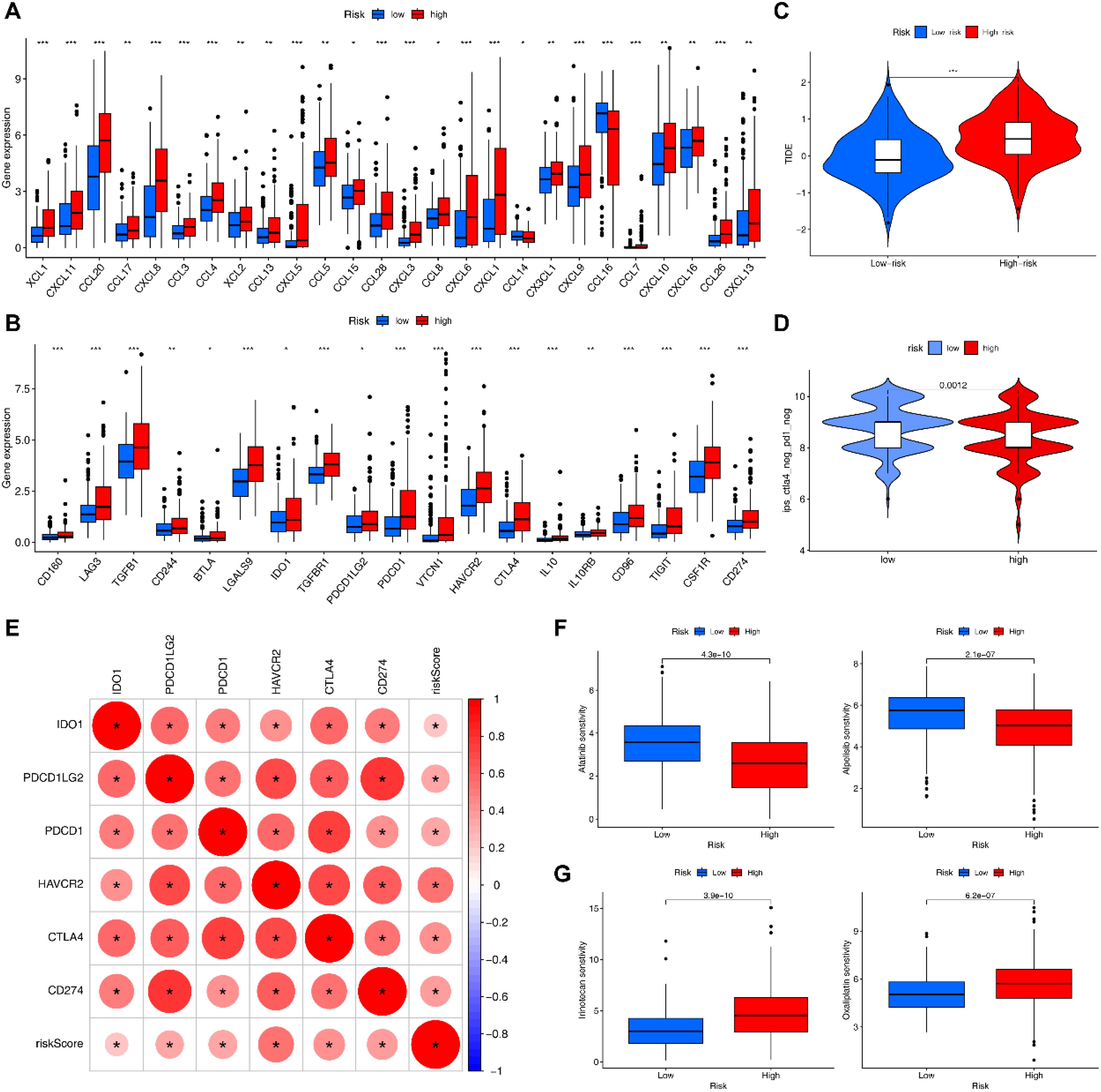 Grouped image with multiple panels showing gene expression and risk analysis: A and B. Box plots comparing gene expression levels in low and high-risk groups. C and D. Violin plots showing distributions of tumor microenvironment scores and another variable by risk group. E. Correlation matrix of immune-related genes and risk scores, with color indicating strength and direction. F and G. Box plots displaying immune cell infiltration intensity scores in different risk groups.