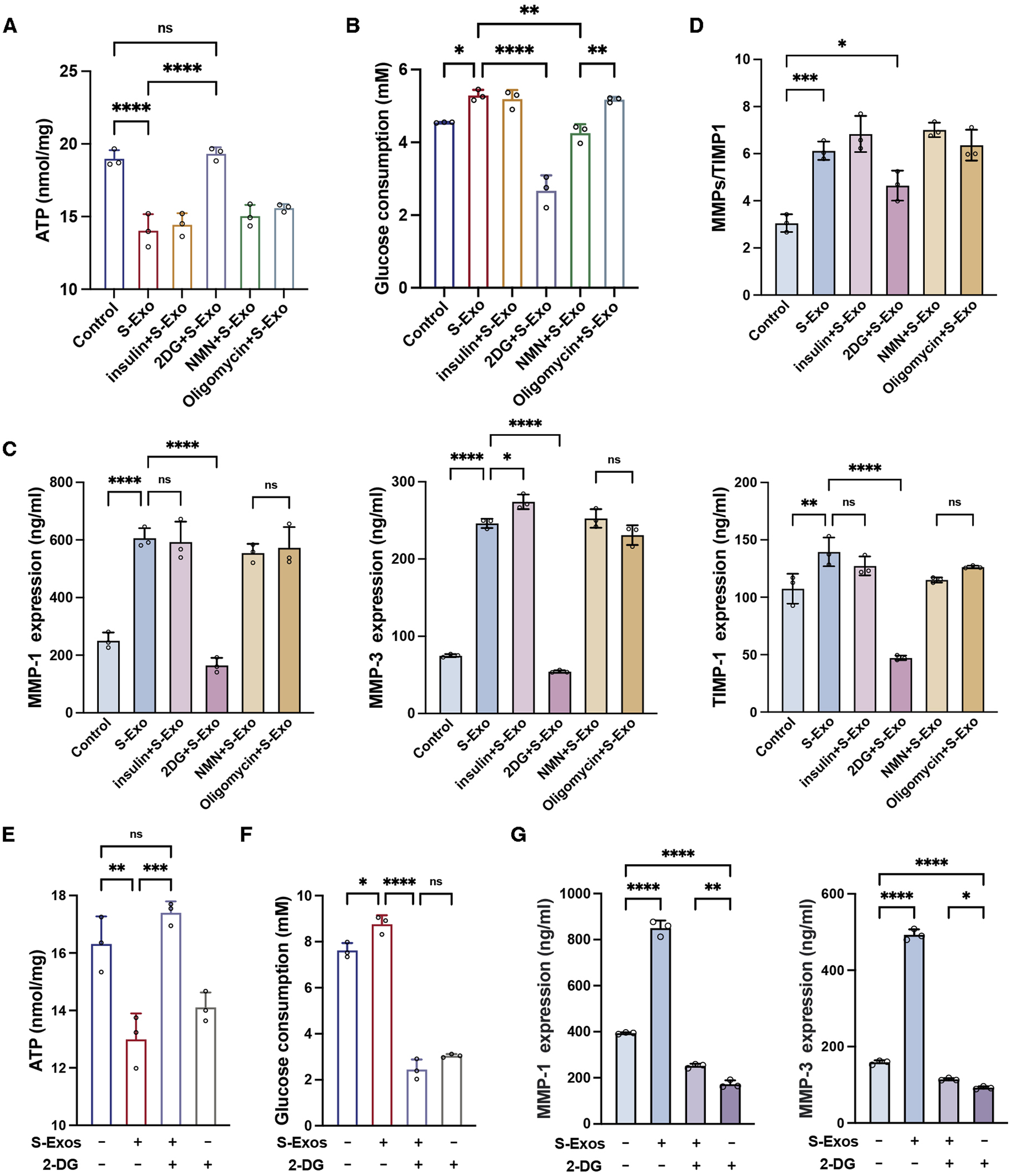 Bar graphs A through G present data on ATP levels, glucose consumption, and MMP and TIMP expression under various treatments, including control, S-Exo, Insulin, 2-DG, NMN, and Oligomycin/cinr. Asterisks indicate levels of statistical significance, with variations across treatments.