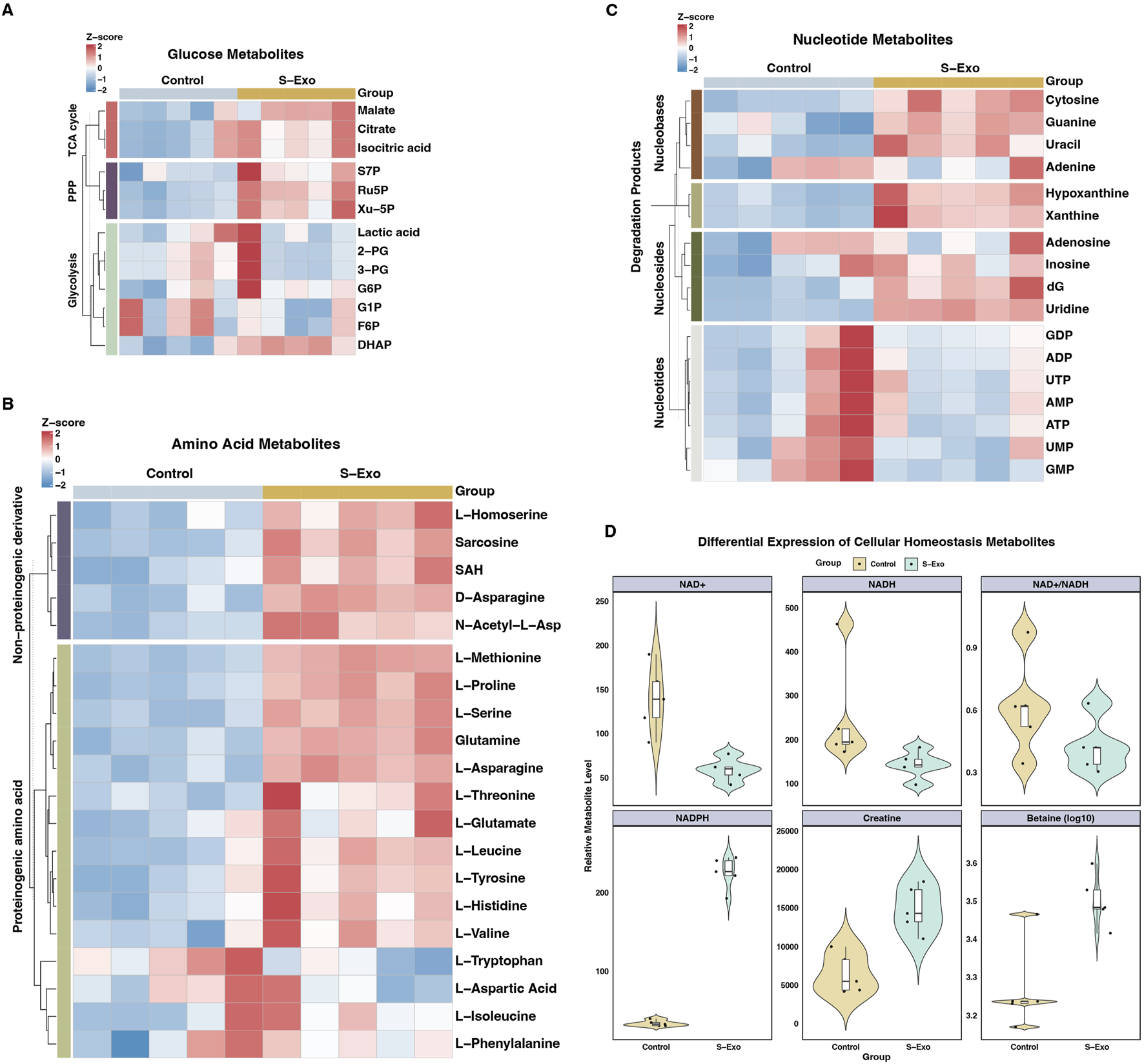 Heatmaps and violin plots illustrate metabolic differences between control and S-Exo groups. Panels A, B, and C compare glucose, amino acid, and nucleotide metabolites. Panel D shows differential expression of cellular homeostasis metabolites including NAD⁺, NADH, and others. Z-scores and relative metabolite levels are used to display variations.